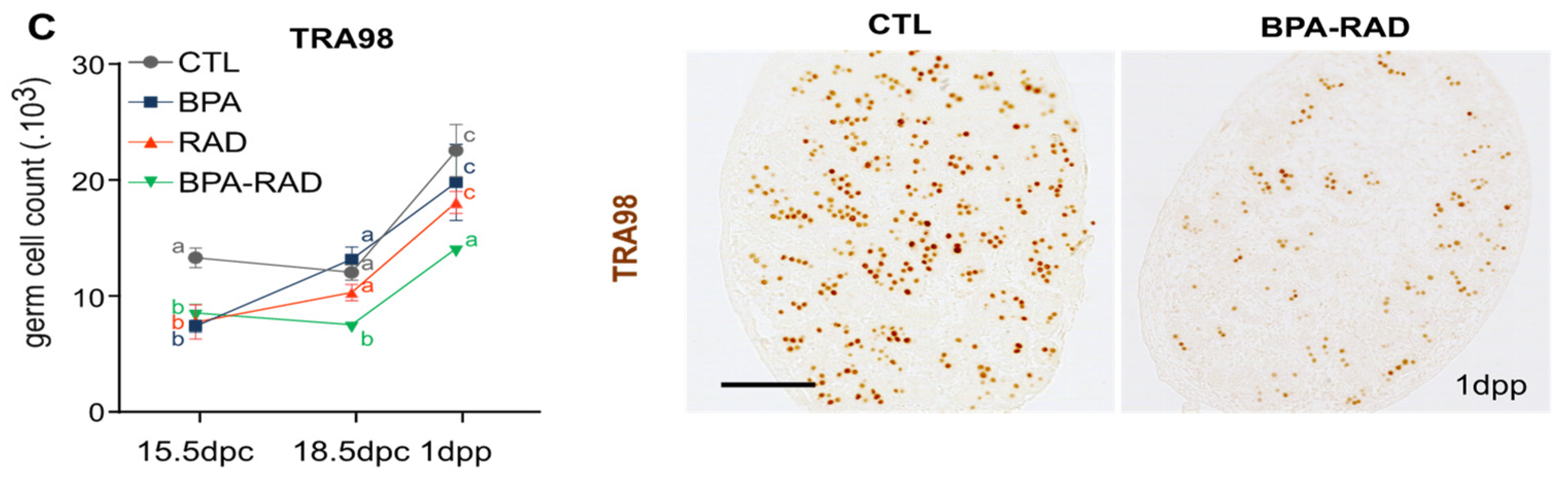 Ijms 22 11808 g001b Ijms 22 11808 g001b