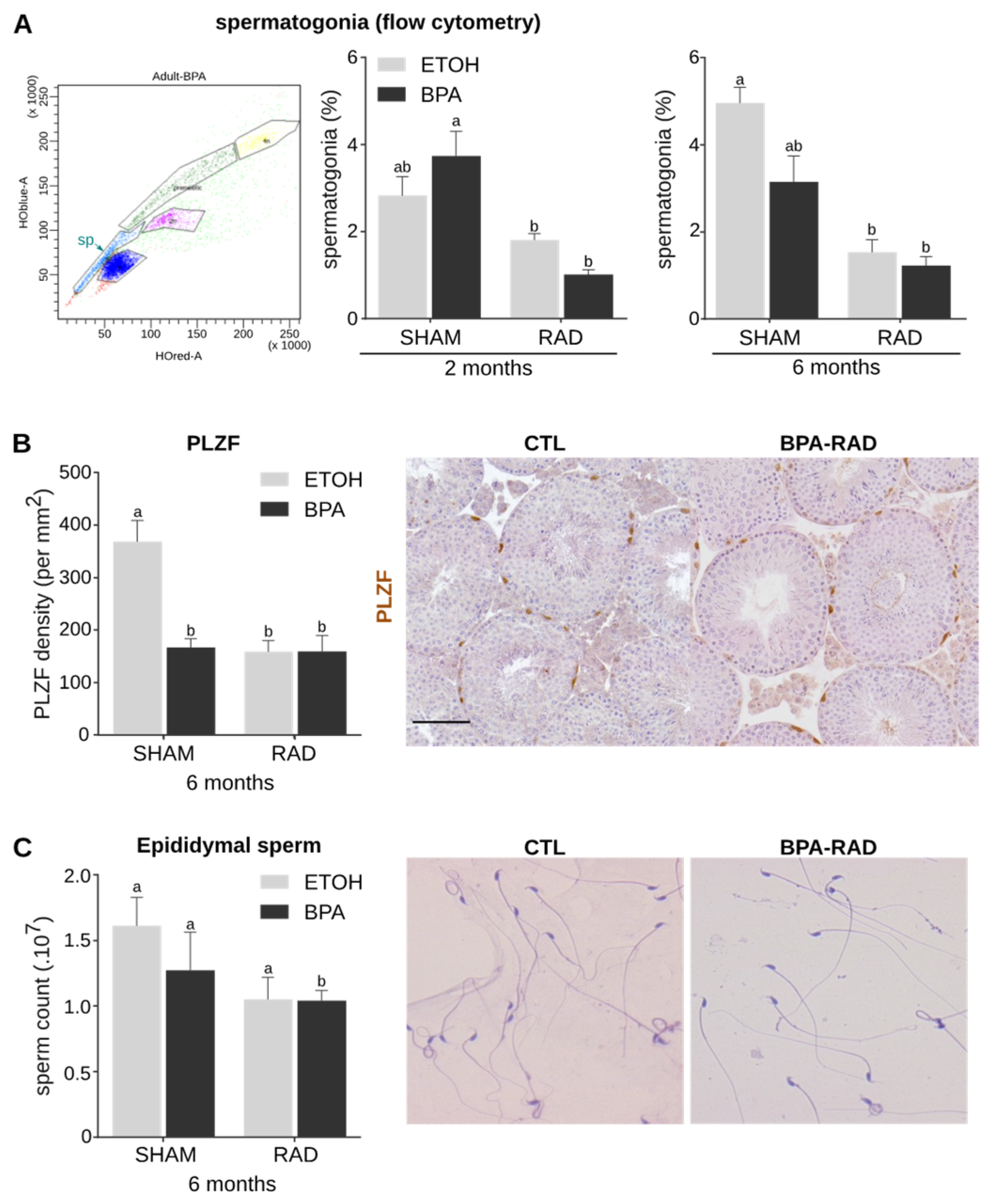 Ijms 22 11808 g004 Ijms 22 11808 g004