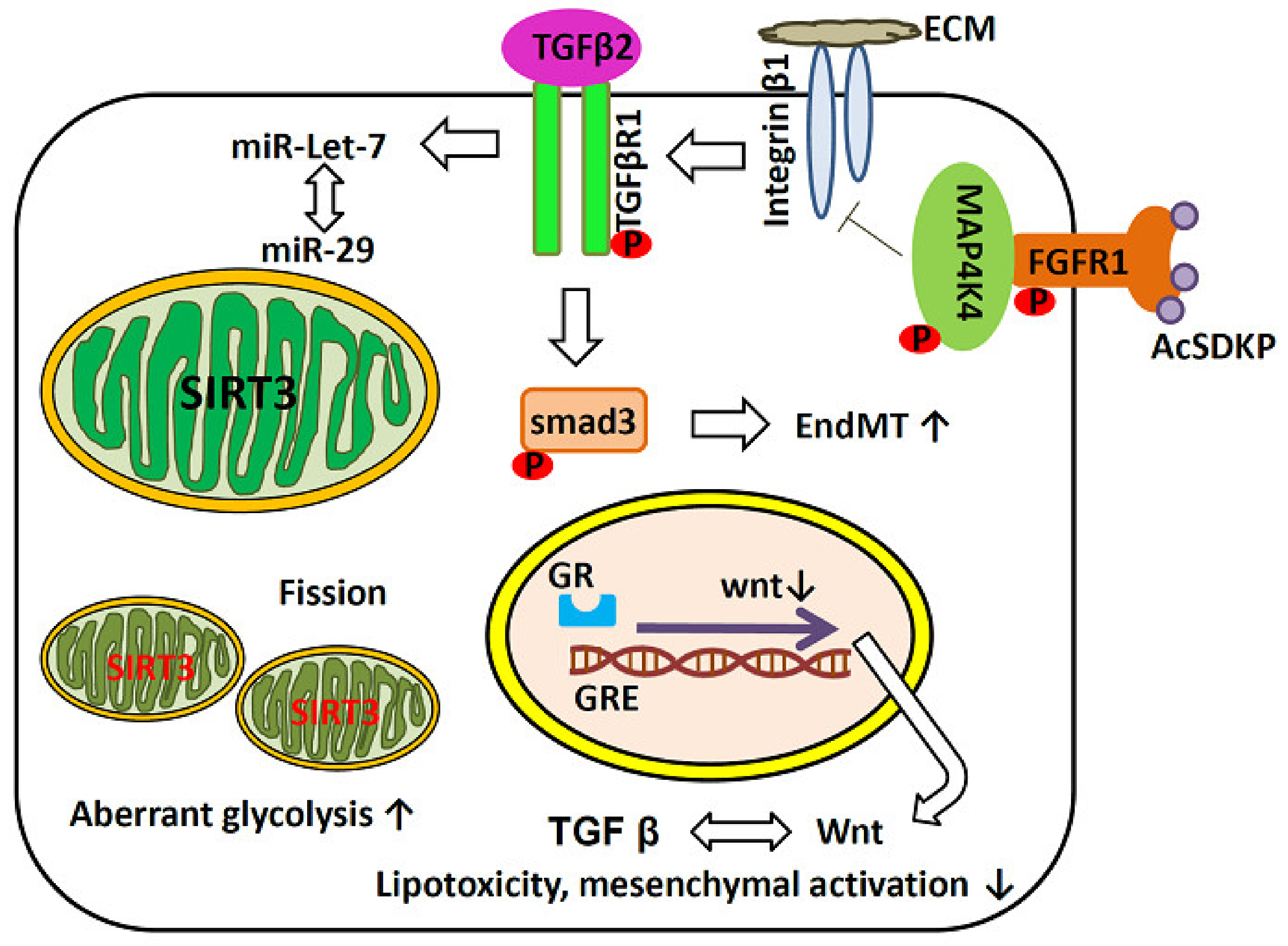 Ijms 22 11857 g002 Ijms 22 11857 g002