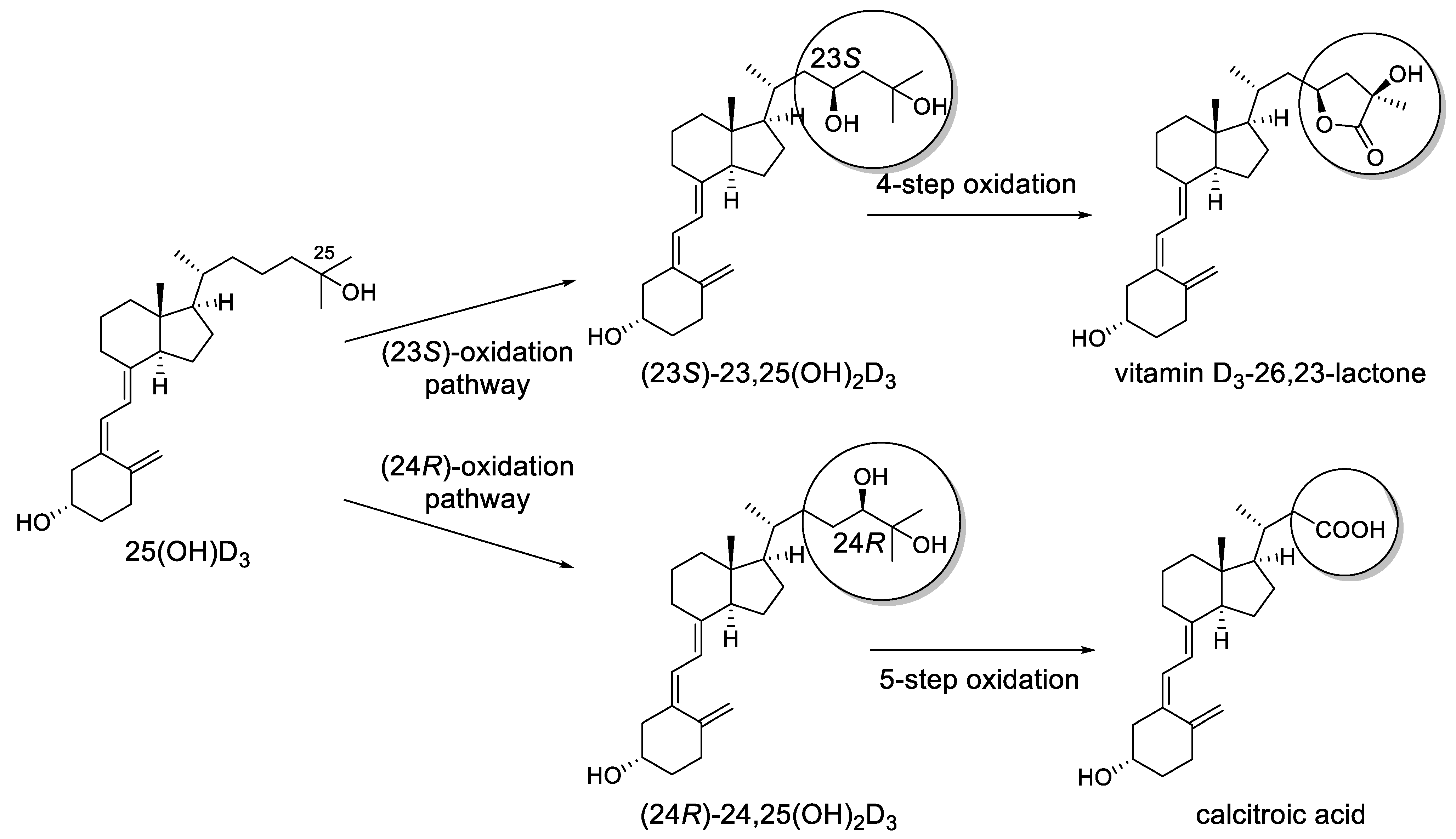 Ijms 22 11863 sch001
