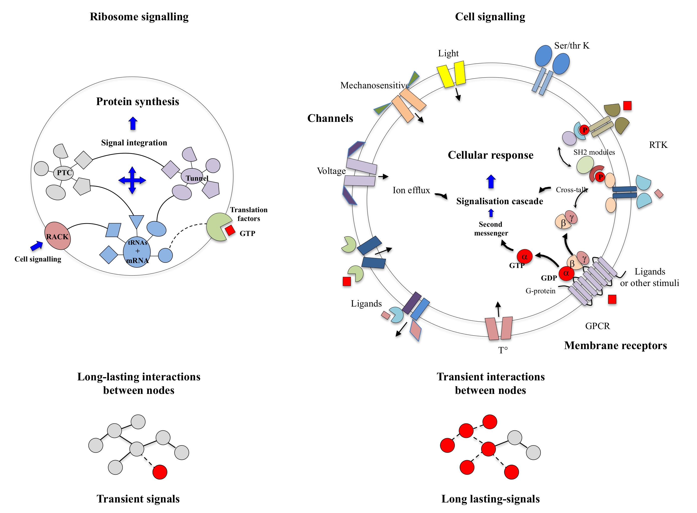 Ijms 22 11868 g006 Ijms 22 11868 g006