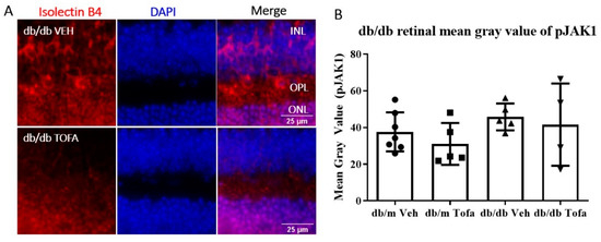 Ijms 22 11876 g0a2 550