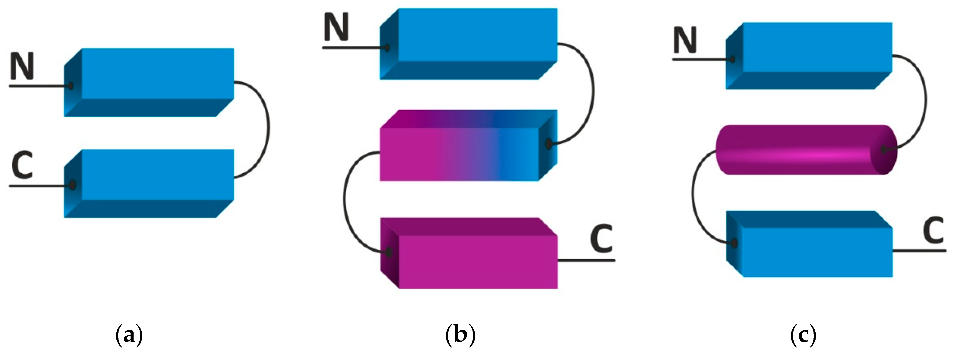 Ijms 22 11879 g002 Ijms 22 11879 g002