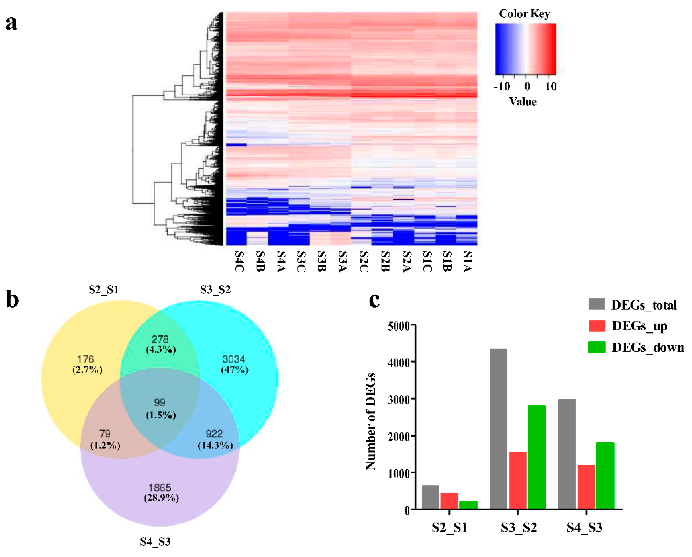 Ijms 22 11880 g003 Ijms 22 11880 g003