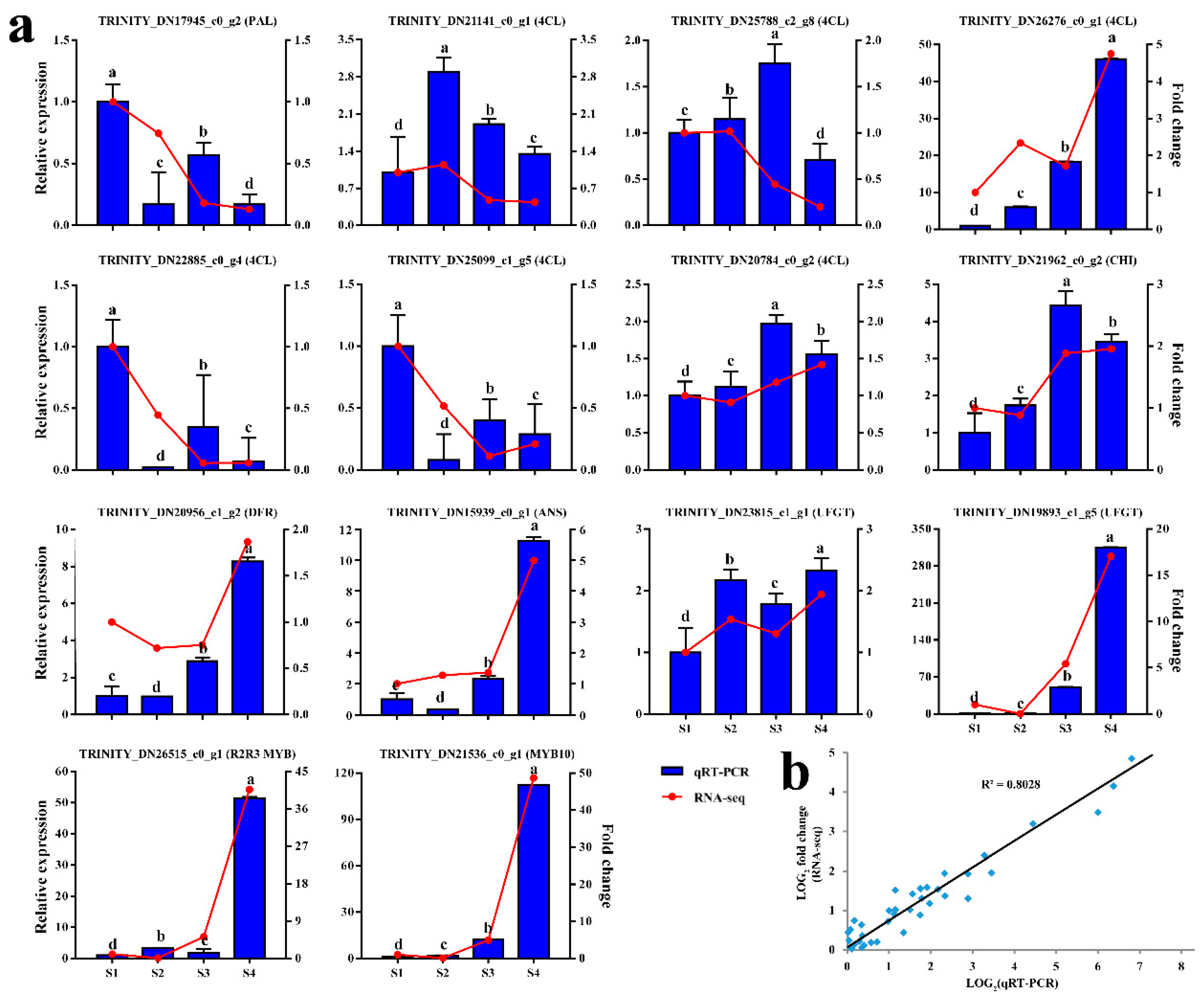 Ijms 22 11880 g005 Ijms 22 11880 g005