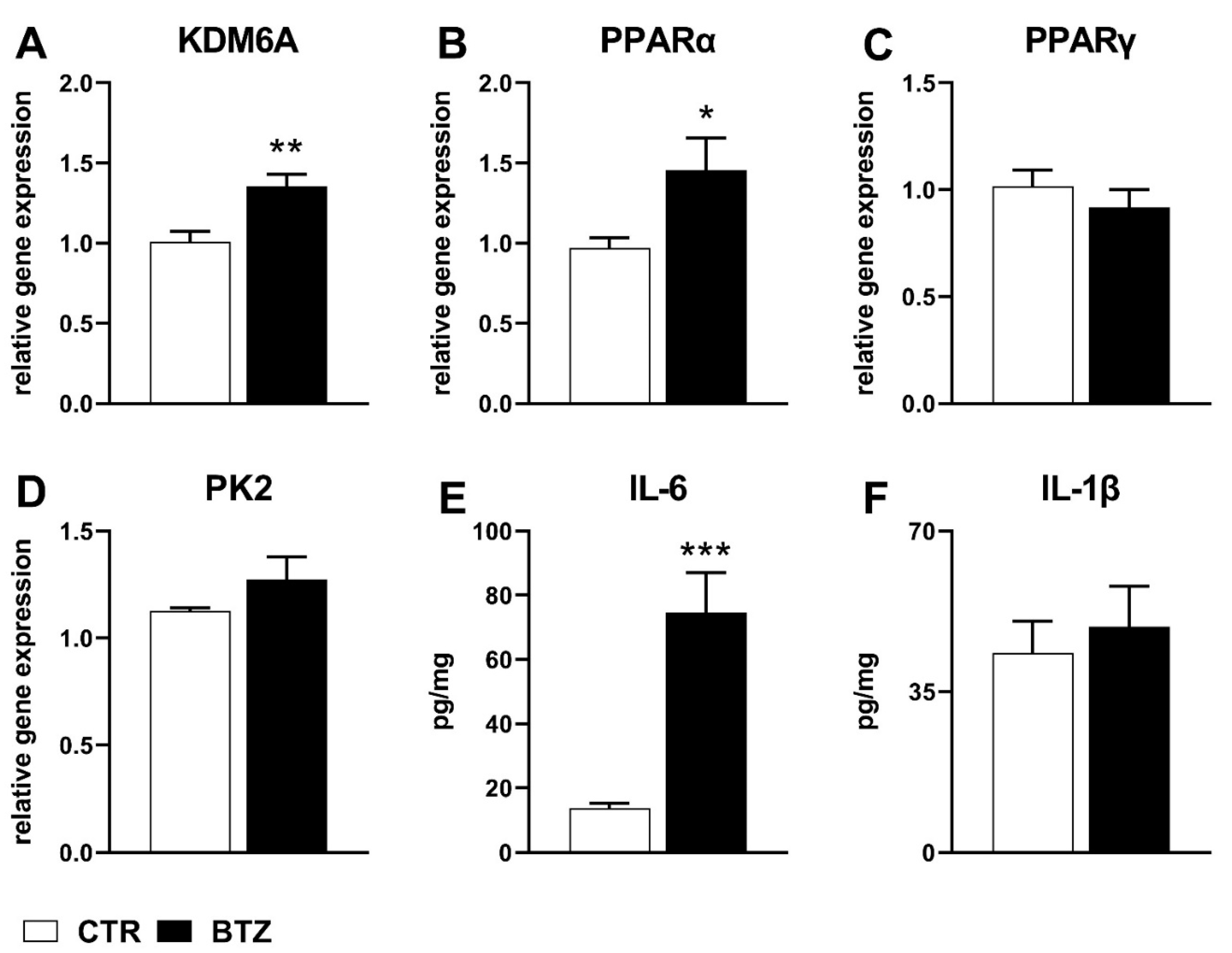 Ijms 22 11913 g002 Ijms 22 11913 g002