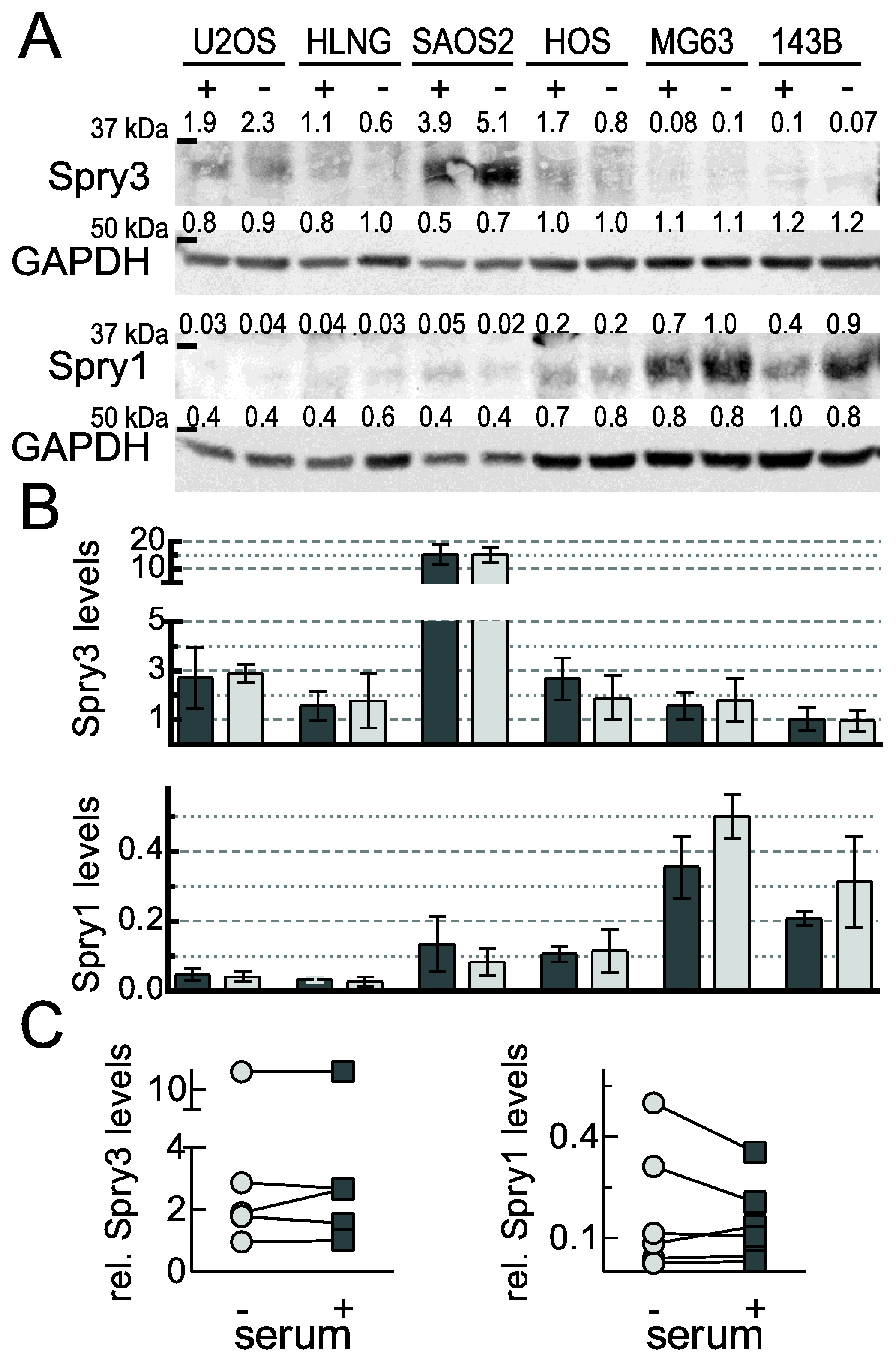 Ijms 22 11944 g002 Ijms 22 11944 g002