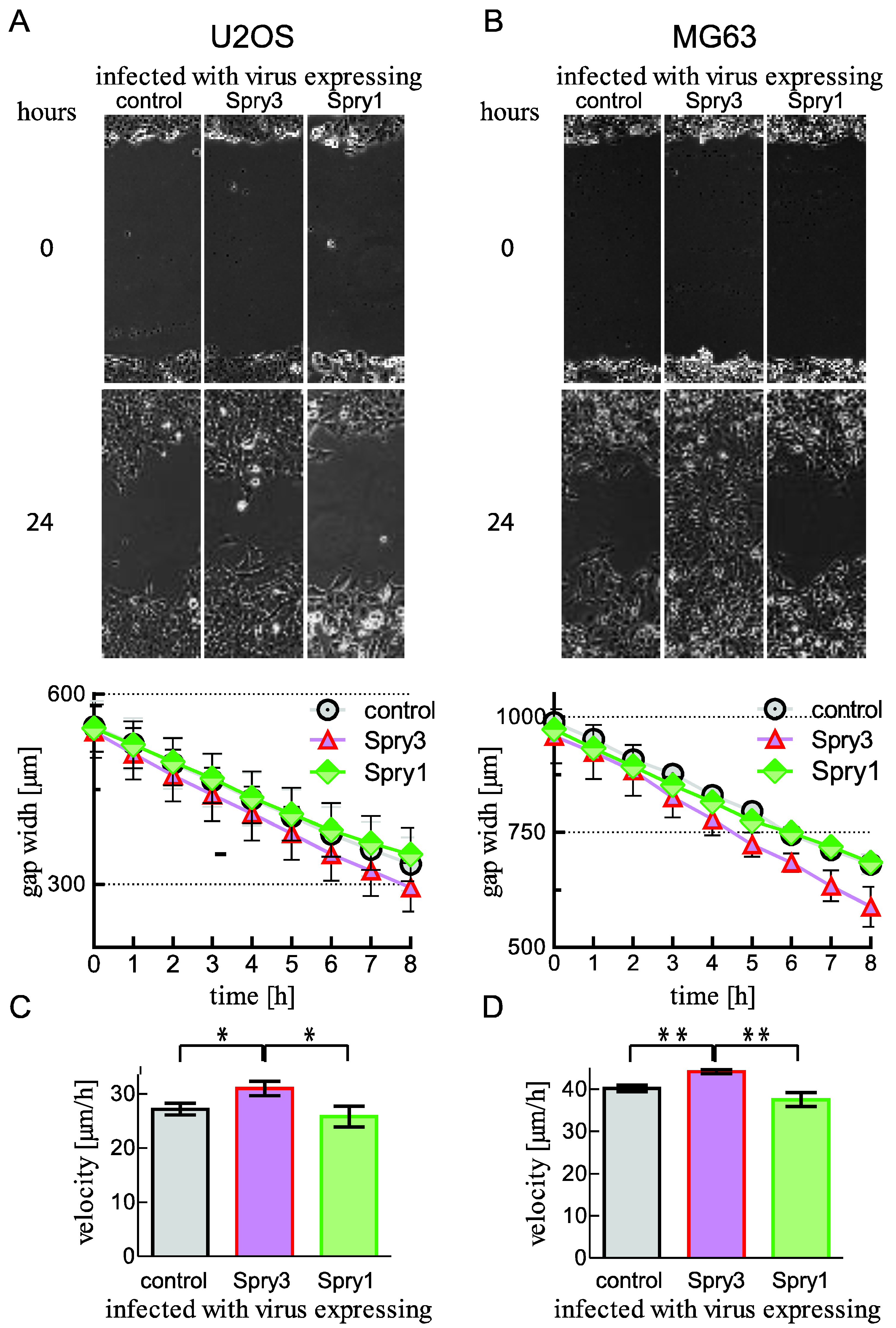 Ijms 22 11944 g004 Ijms 22 11944 g004