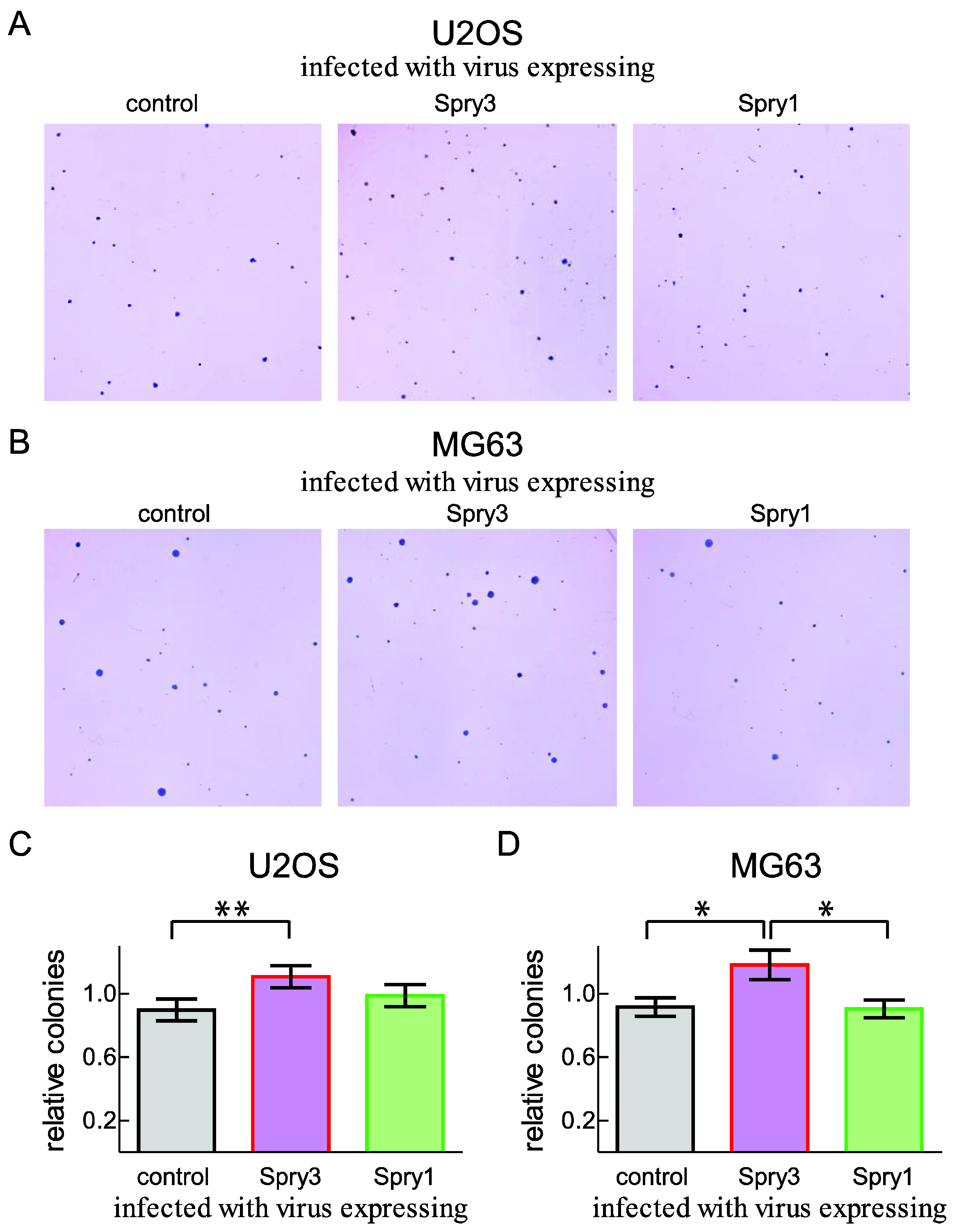 Ijms 22 11944 g005 Ijms 22 11944 g005