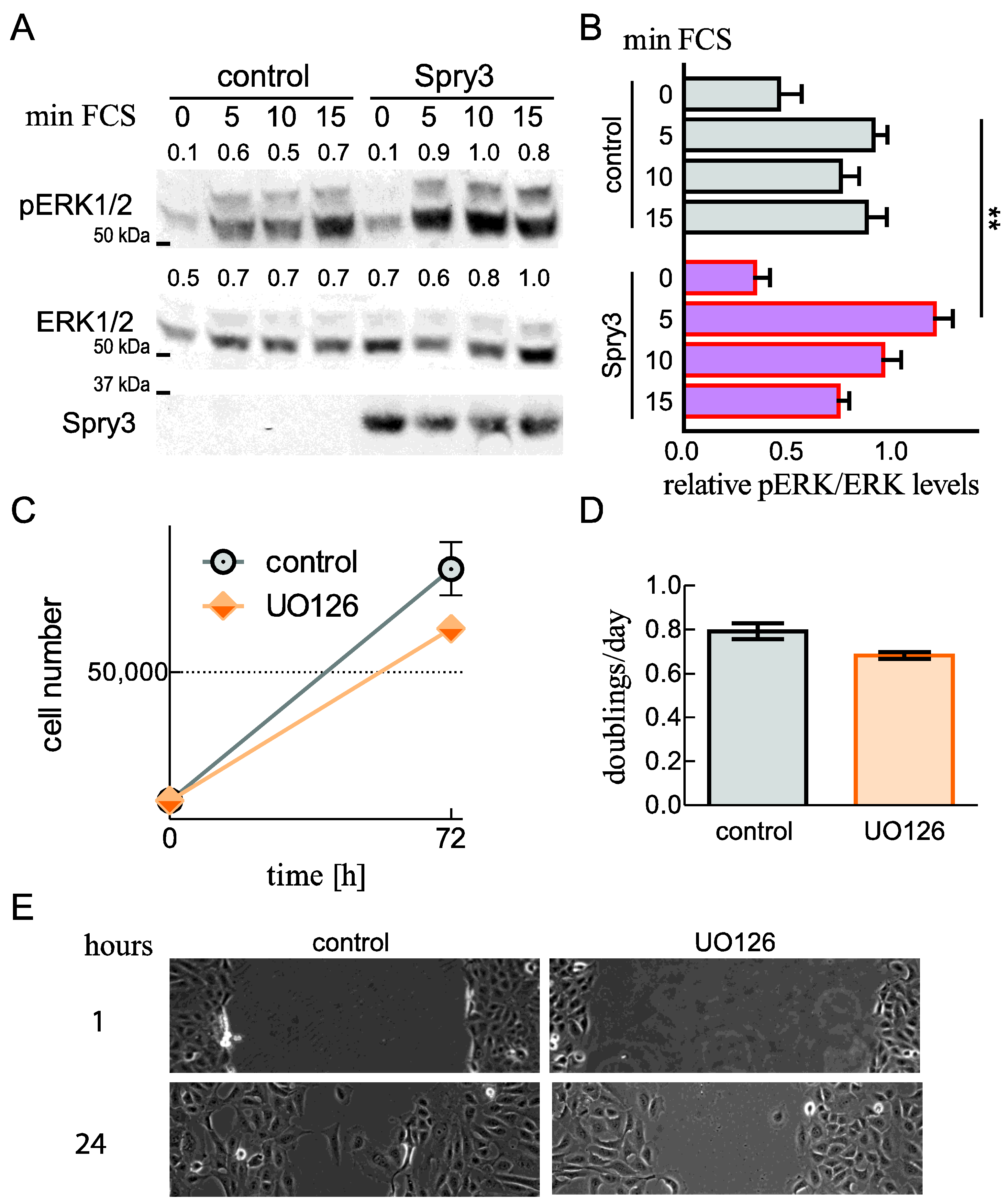 Ijms 22 11944 g006 Ijms 22 11944 g006