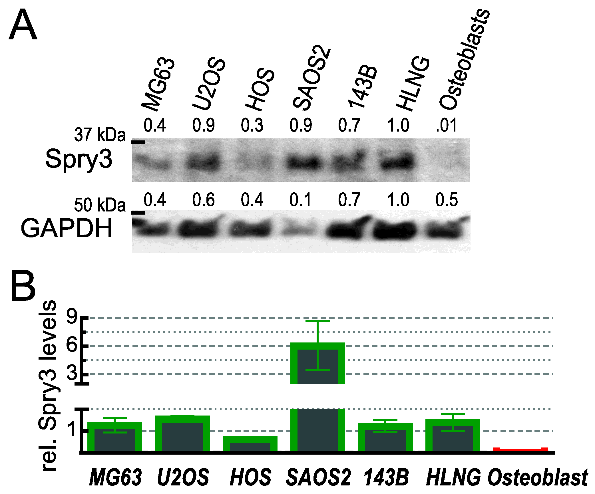 Ijms 22 11944 g008 Ijms 22 11944 g008