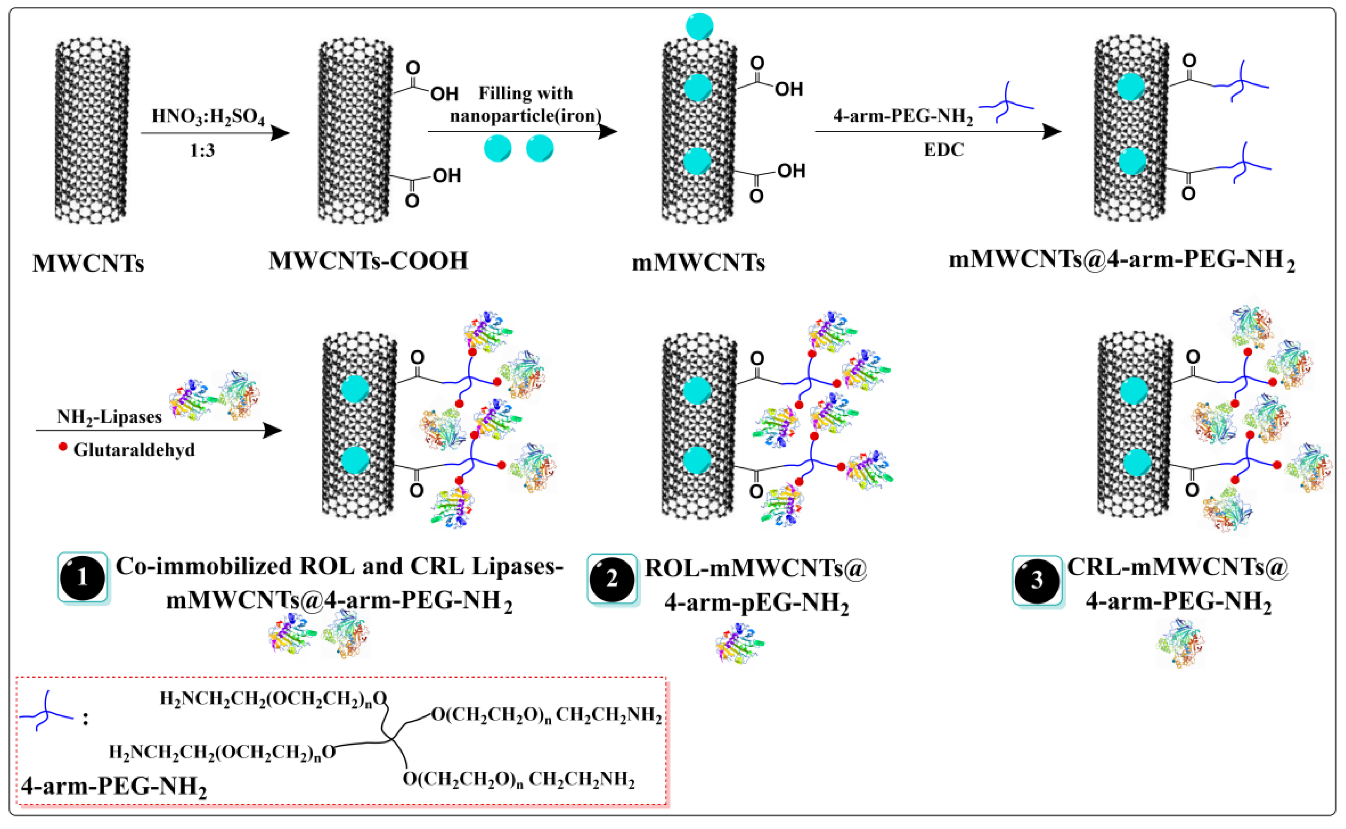 Ijms 22 11956 sch001