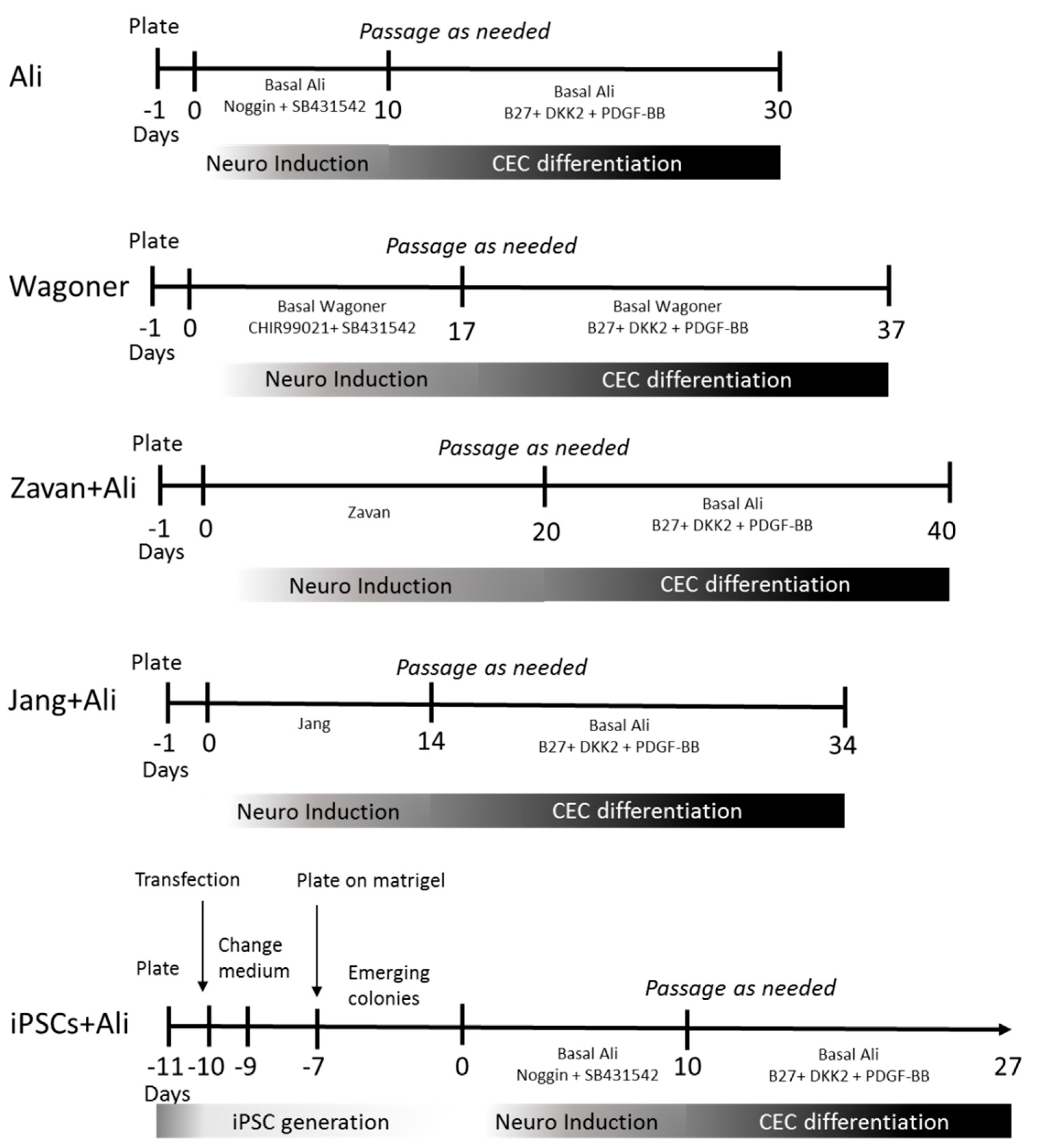 Ijms 22 11982 g004 Ijms 22 11982 g004