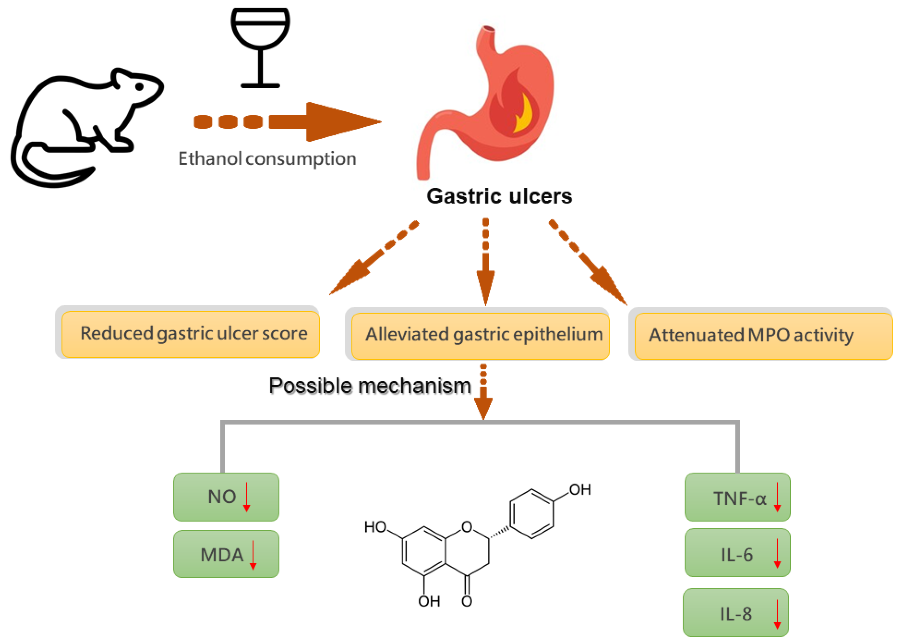 Ijms 22 11985 g008 Ijms 22 11985 g008