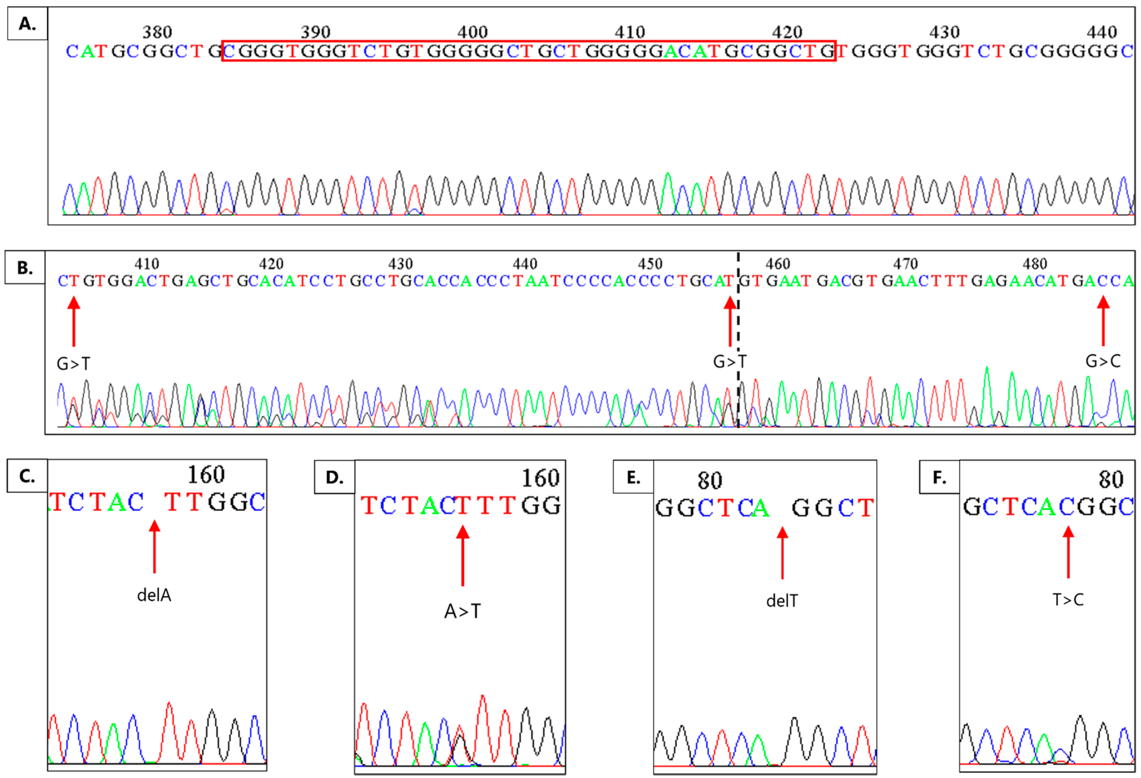 Ijms 22 11996 g002 Ijms 22 11996 g002