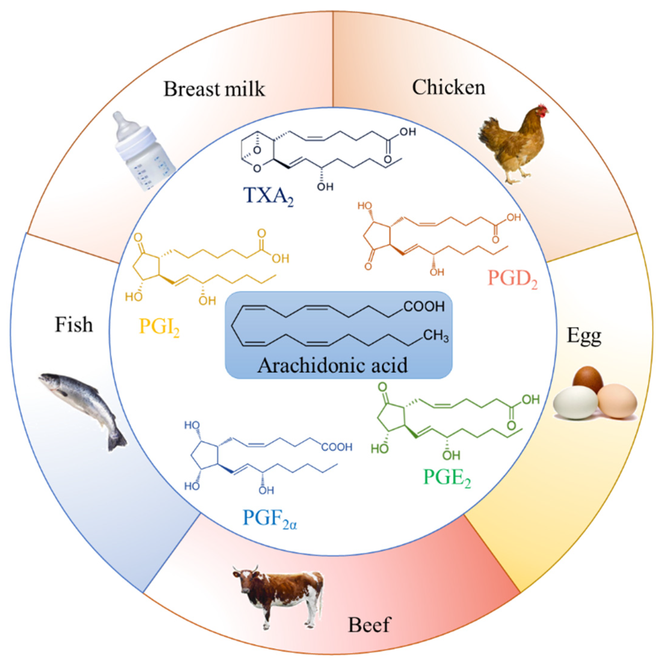 Ijms 22 12029 g001 Ijms 22 12029 g001