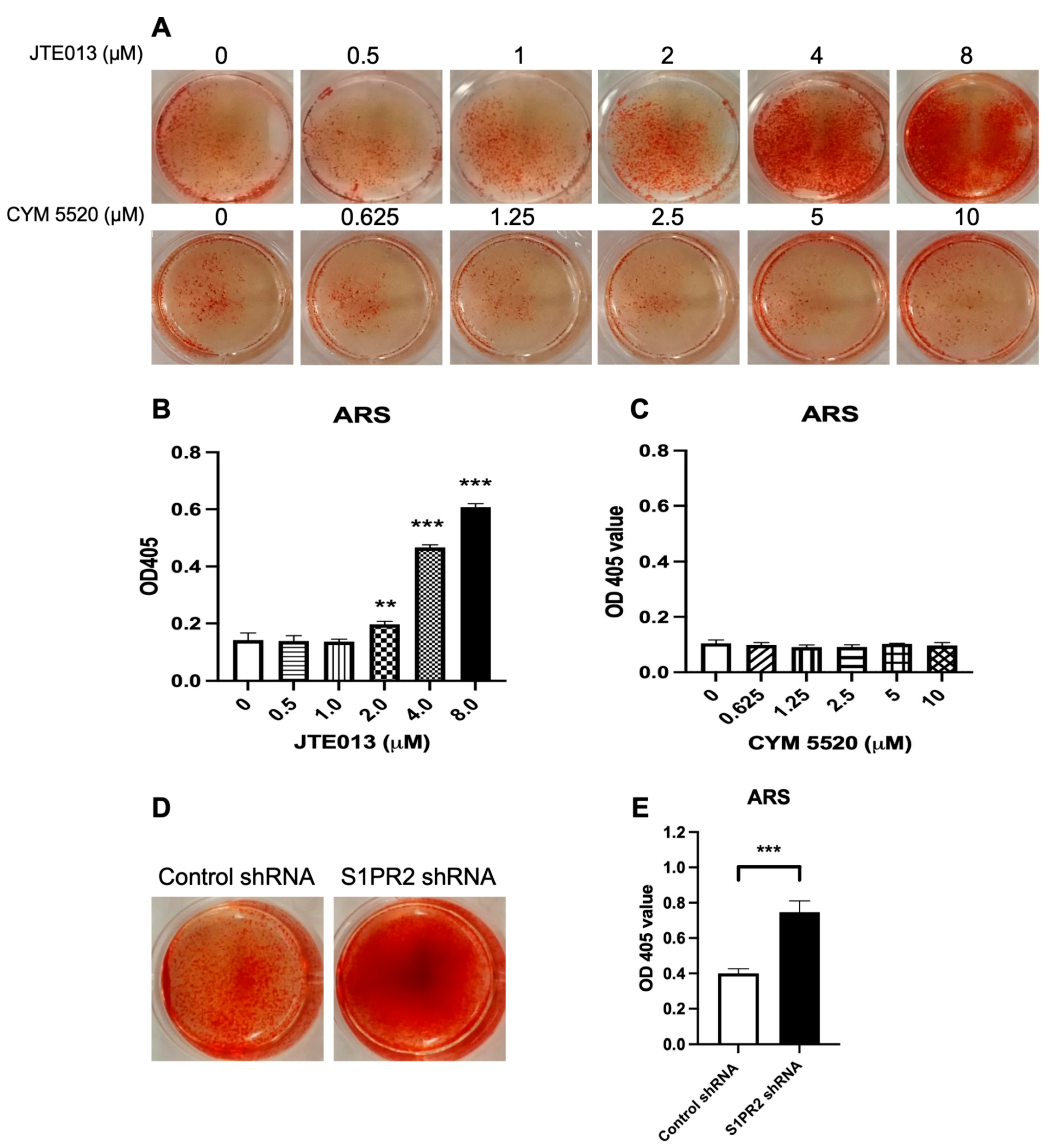 Ijms 22 12060 g003 Ijms 22 12060 g003