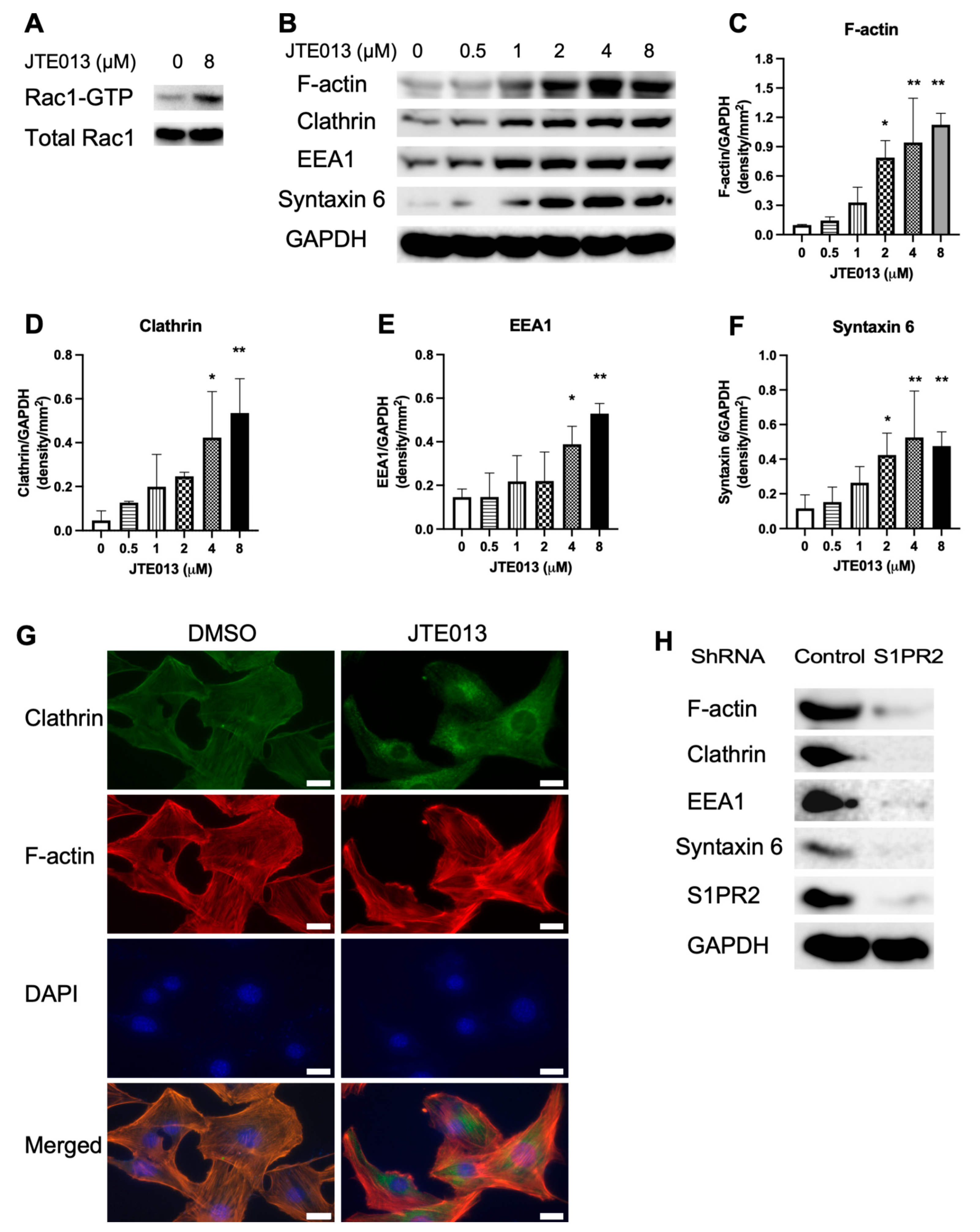 Ijms 22 12060 g005 Ijms 22 12060 g005