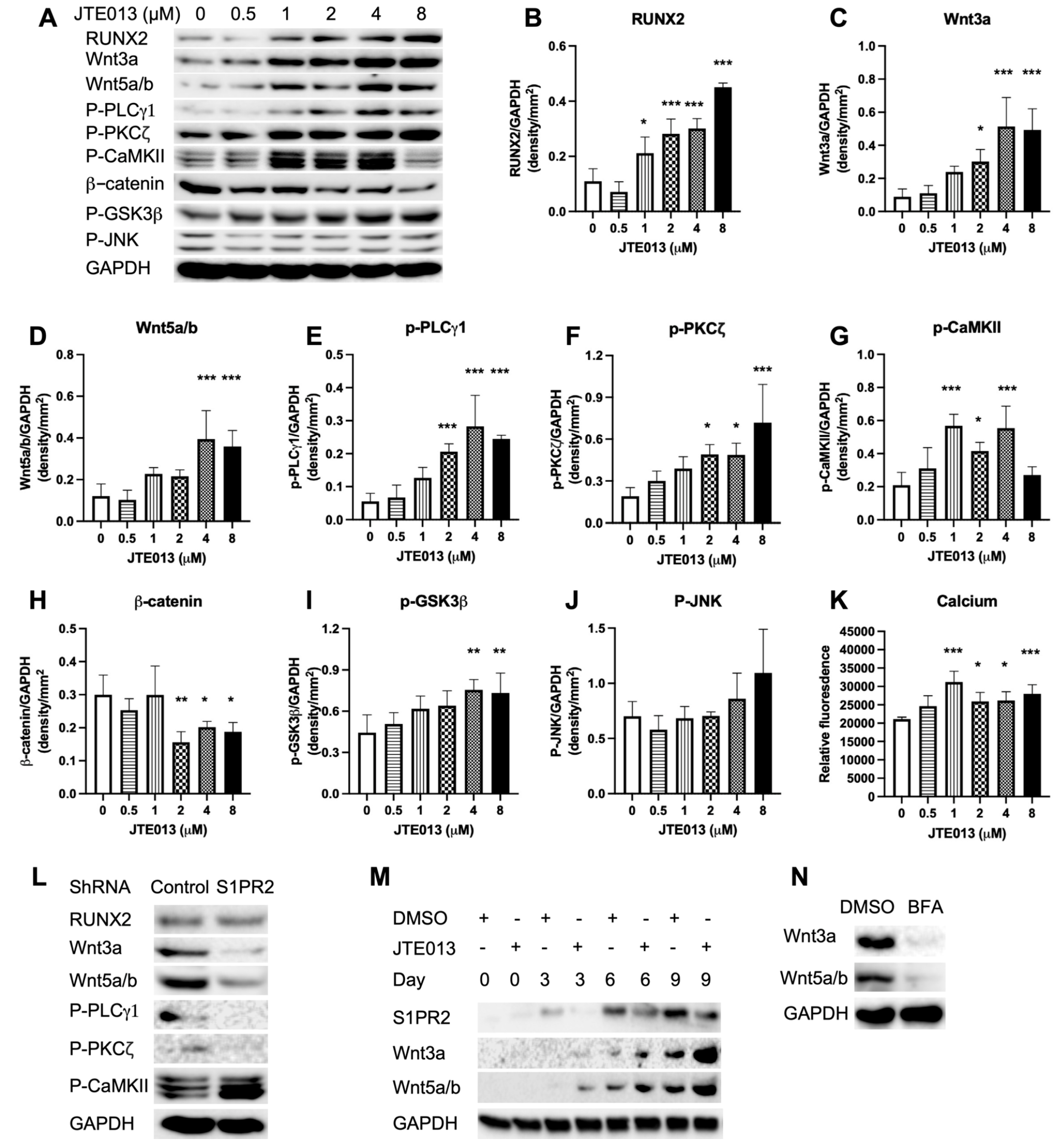 Ijms 22 12060 g006 Ijms 22 12060 g006