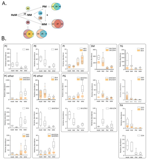 Ijms 22 12061 g004 550