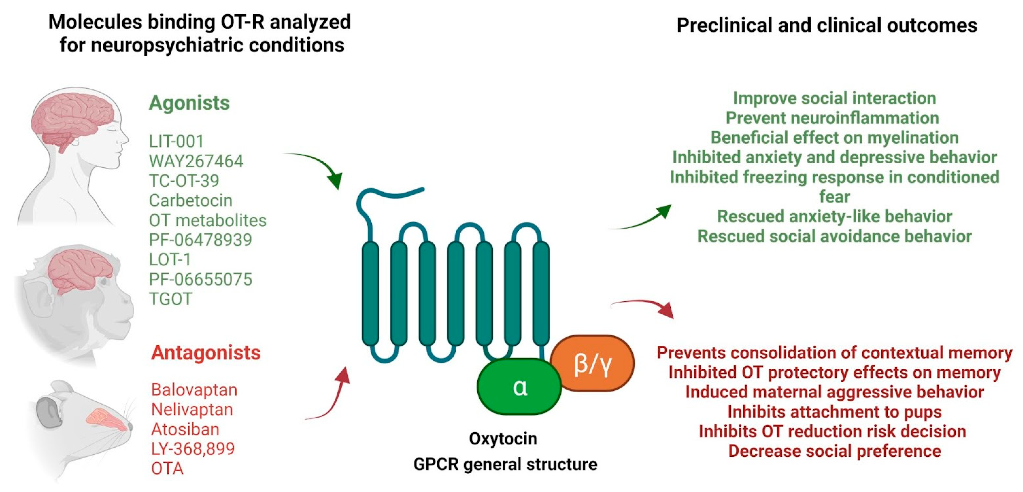 Ijms 22 12077 g001 Ijms 22 12077 g001