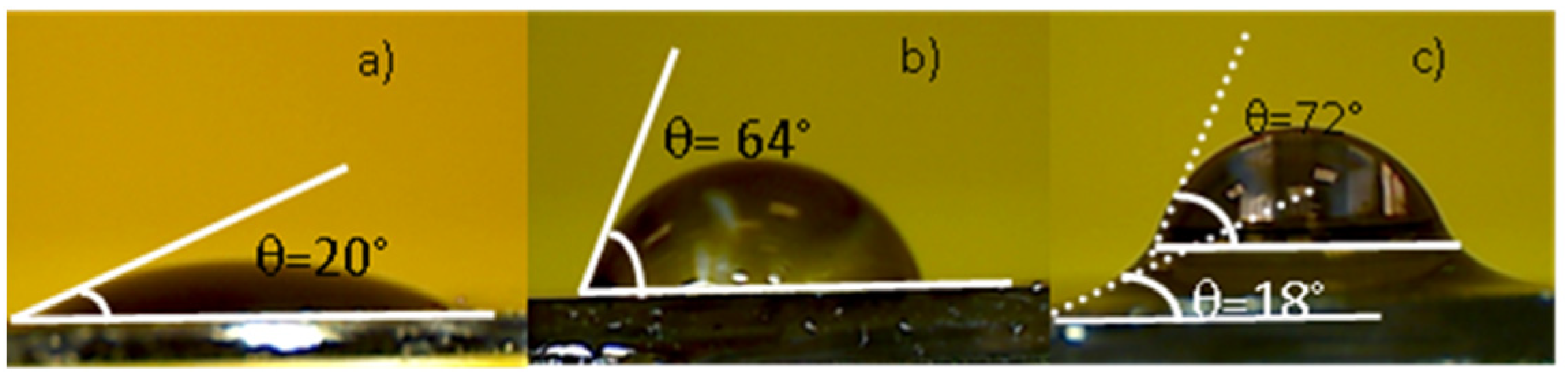 Ijms 22 12155 g004