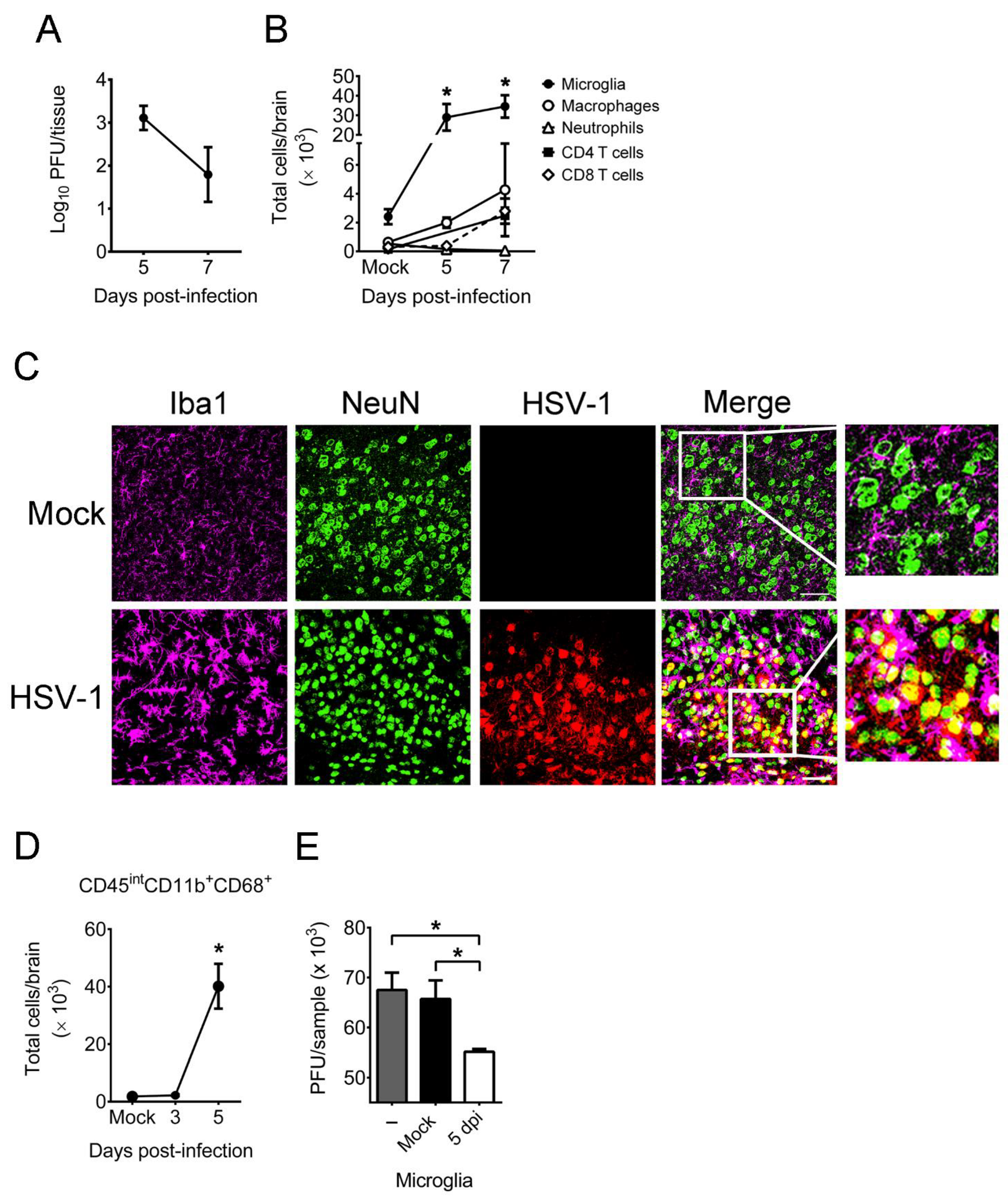 Ijms 22 12457 g001 Ijms 22 12457 g001
