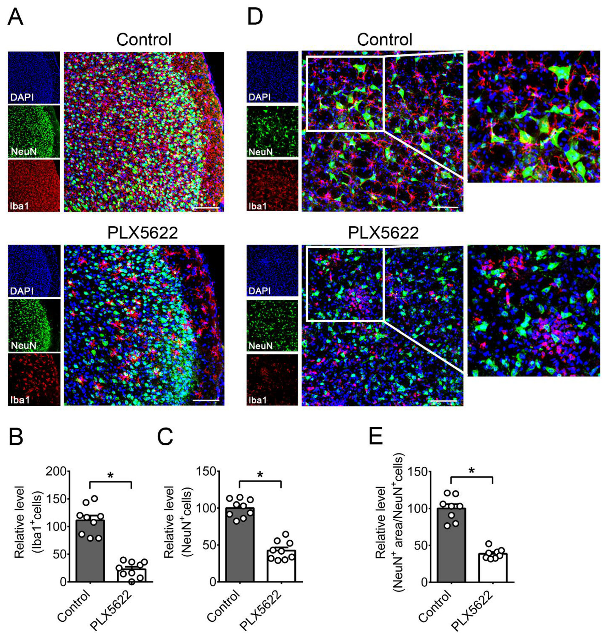Ijms 22 12457 g003 Ijms 22 12457 g003