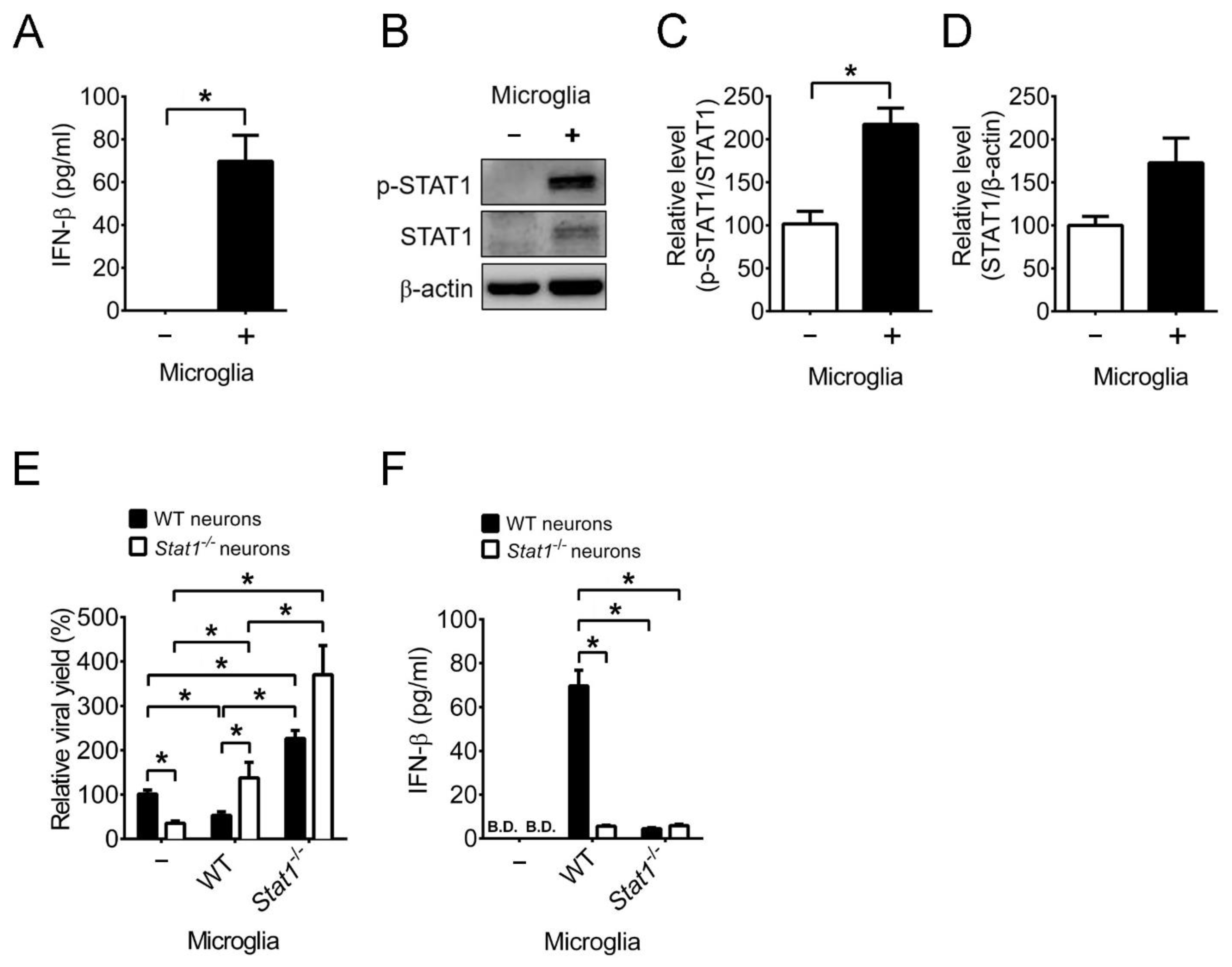 Ijms 22 12457 g008 Ijms 22 12457 g008