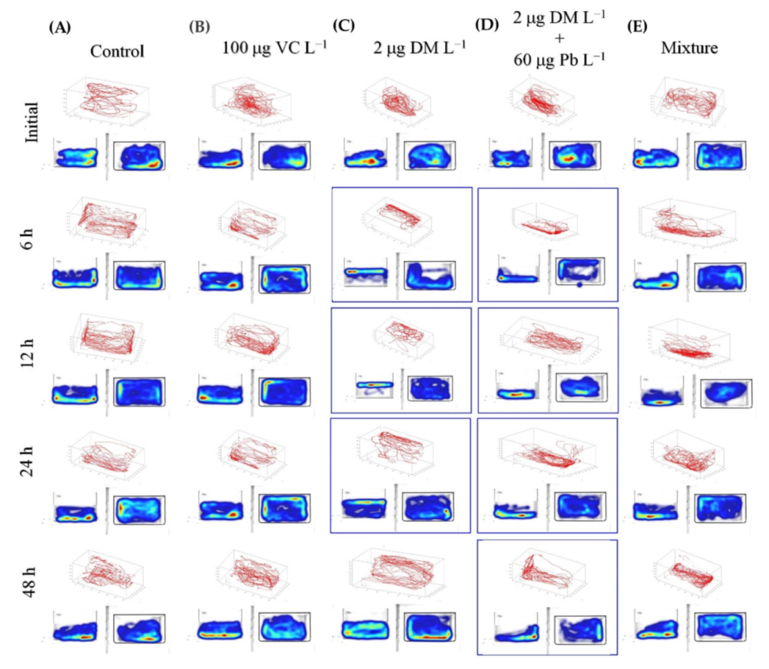 Ijms 22 12714 g001 Ijms 22 12714 g001