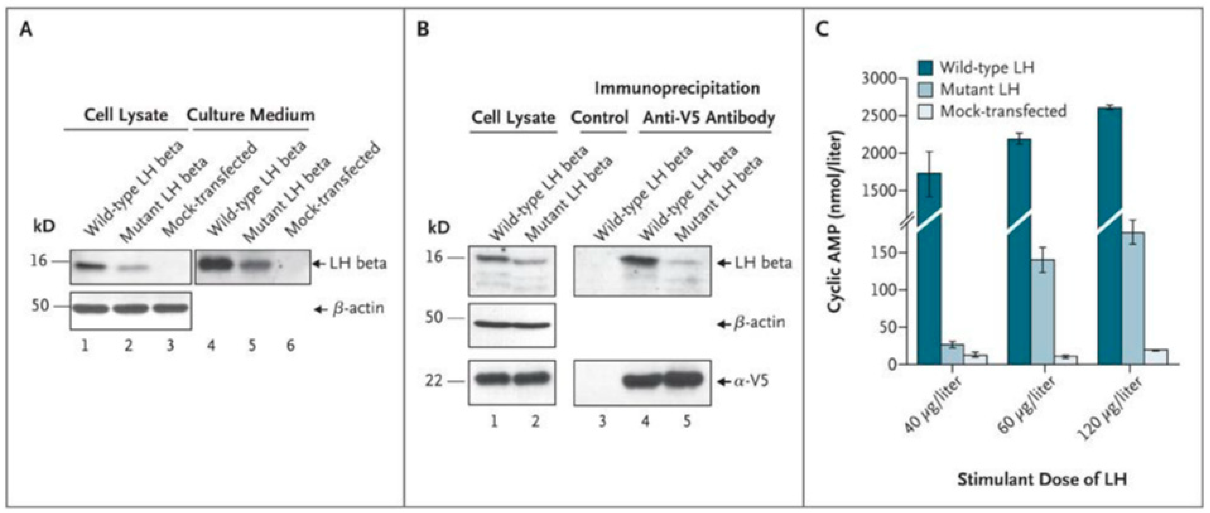 Ijms 22 12735 g003 Ijms 22 12735 g003