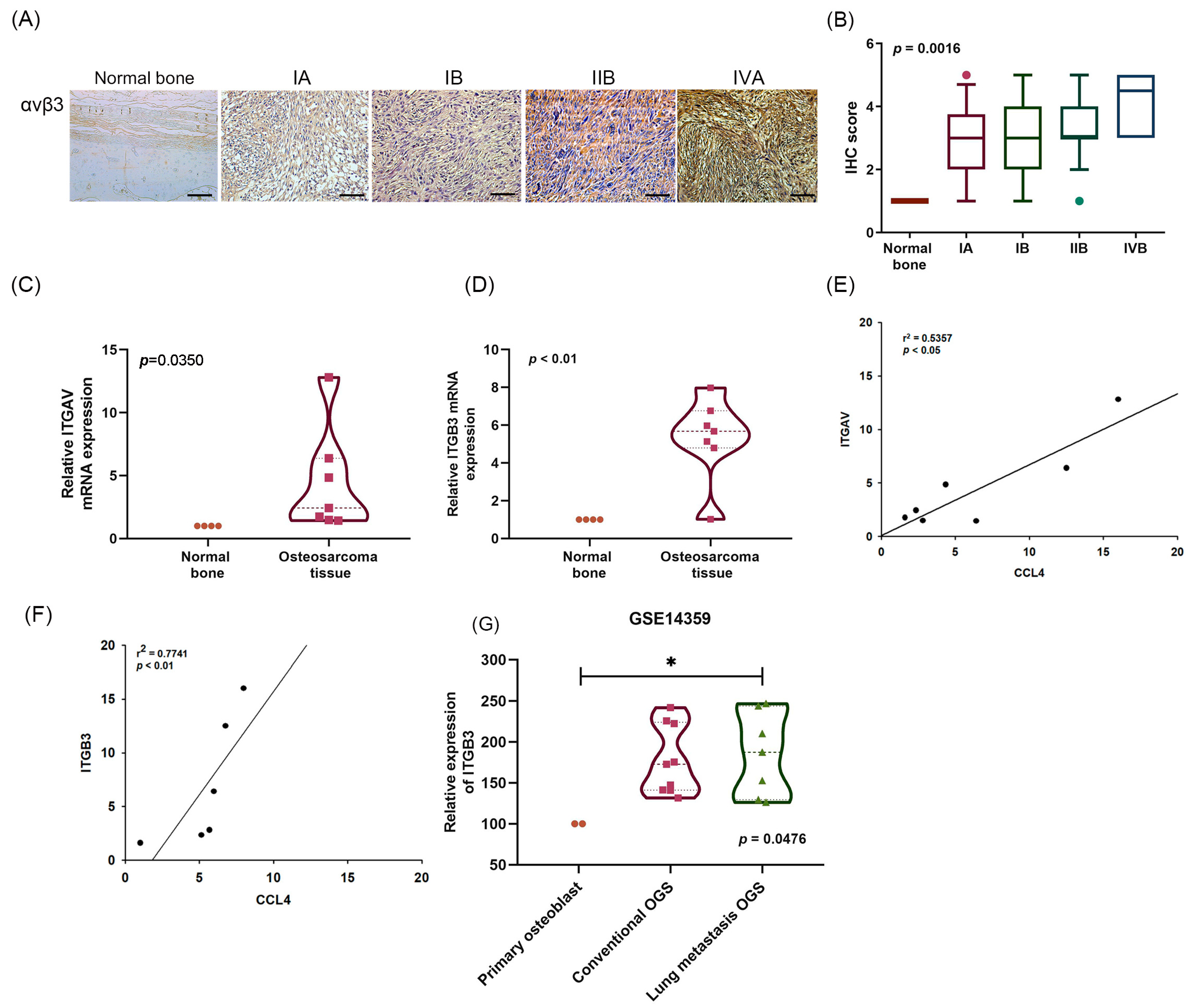 Ijms 22 12737 g002 Ijms 22 12737 g002