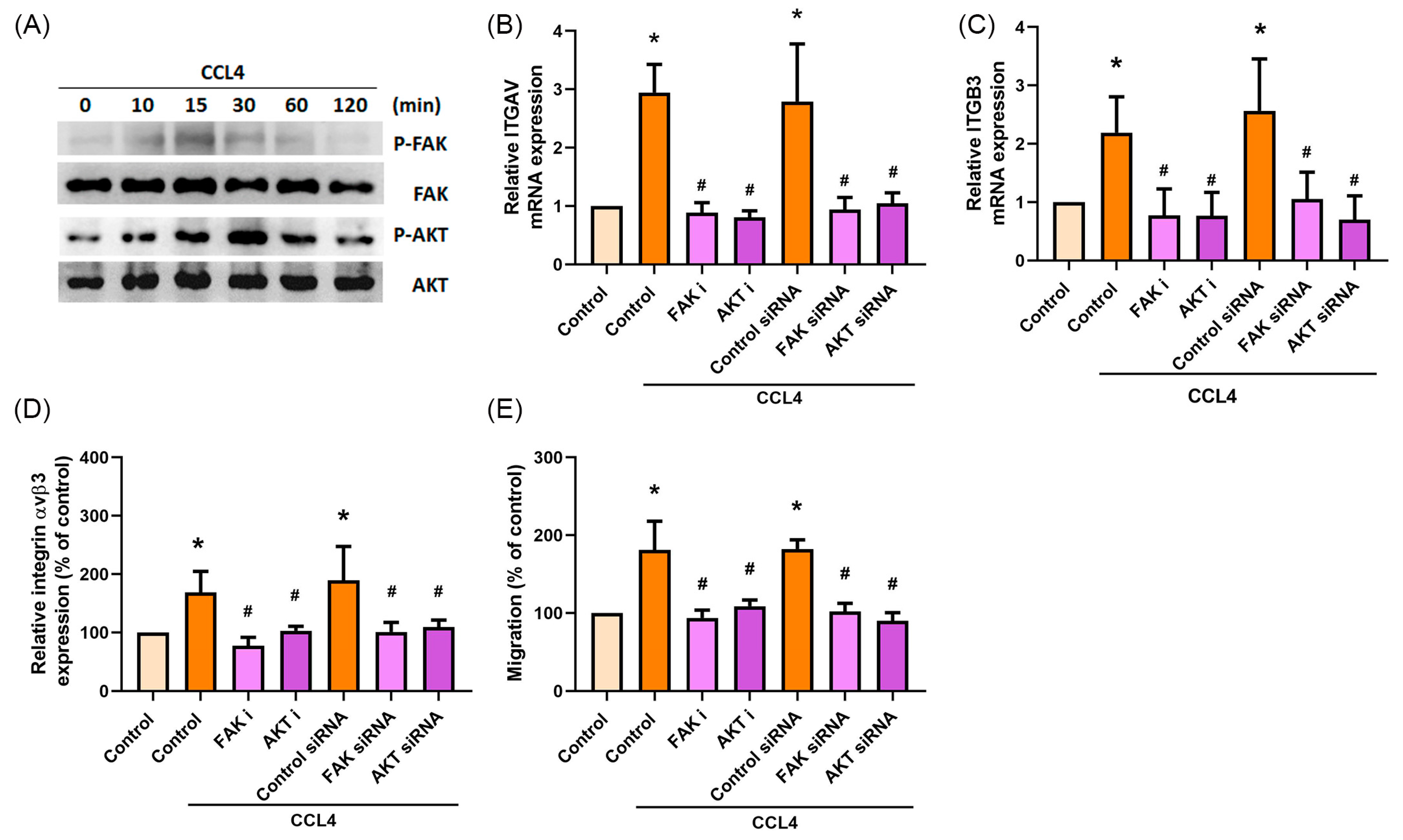 Ijms 22 12737 g004 Ijms 22 12737 g004
