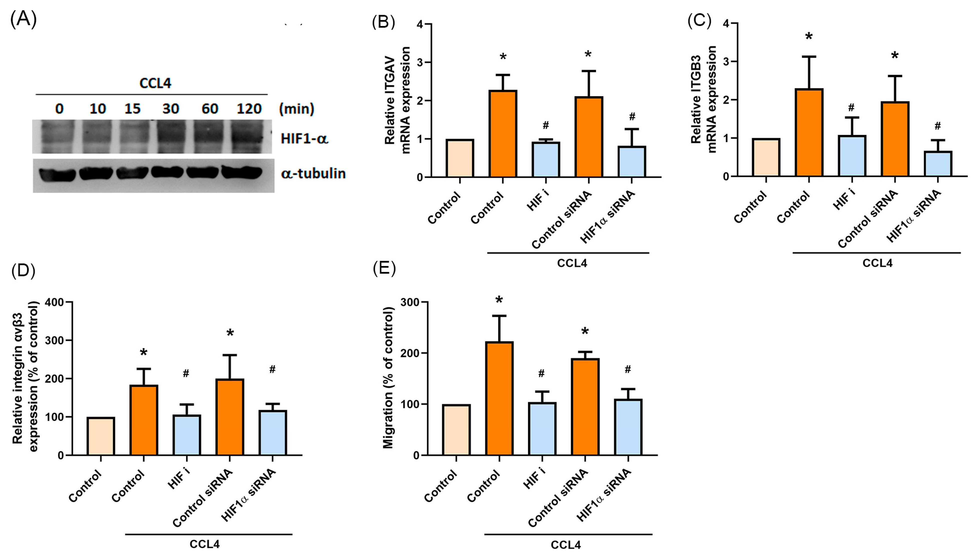 Ijms 22 12737 g005 Ijms 22 12737 g005