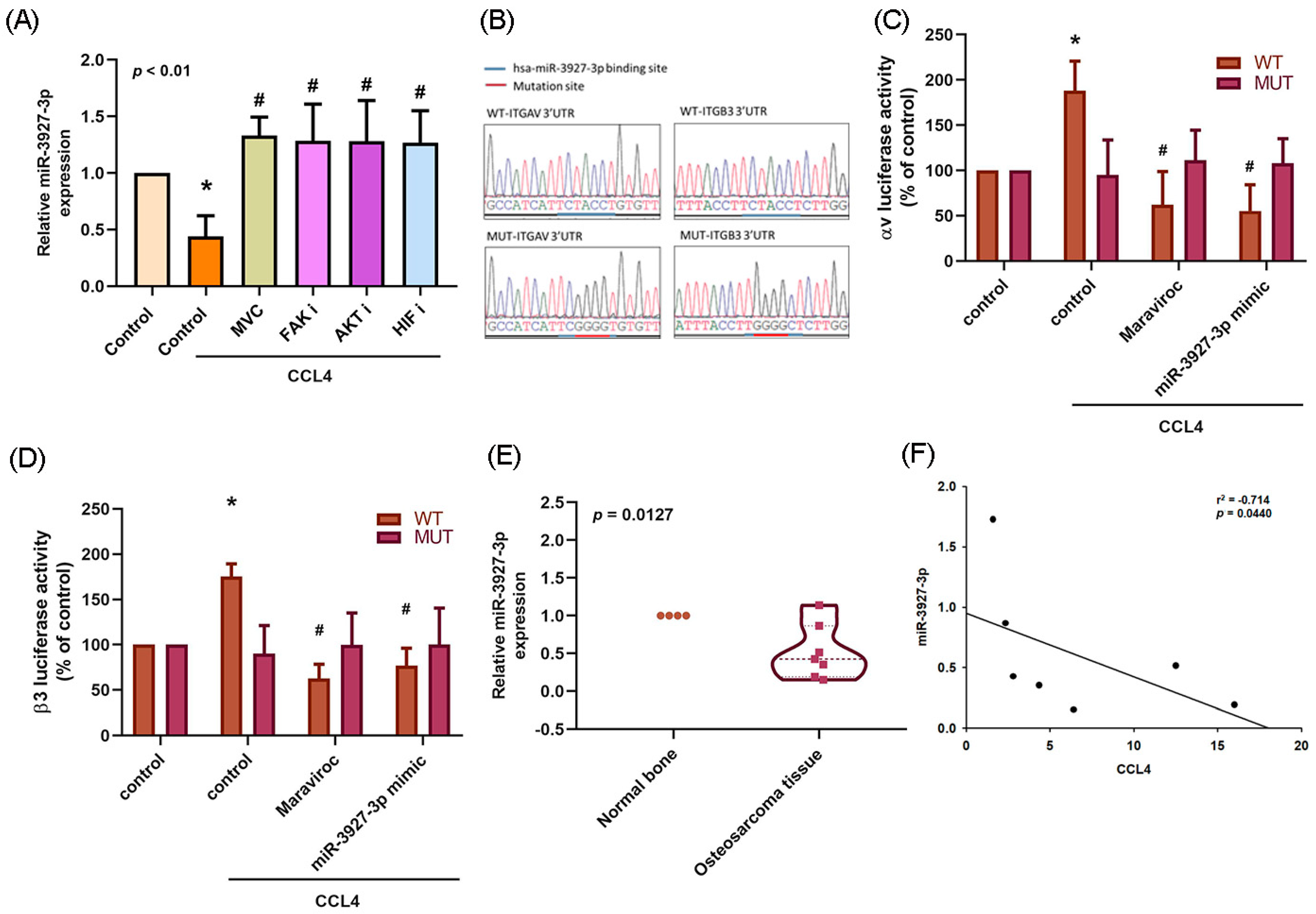 Ijms 22 12737 g007 Ijms 22 12737 g007