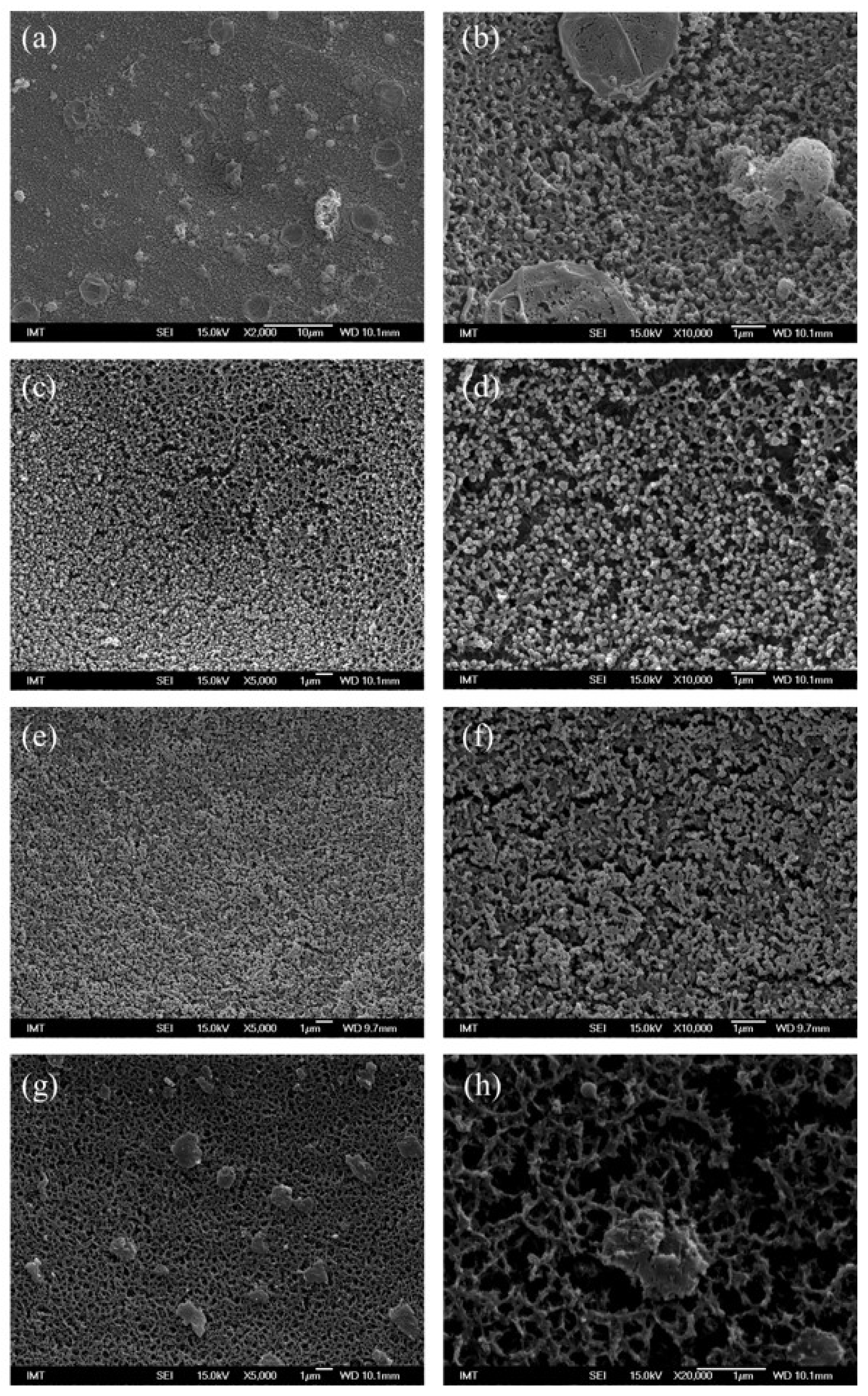 Ijms 22 12772 g0a1 Ijms 22 12772 g0a1