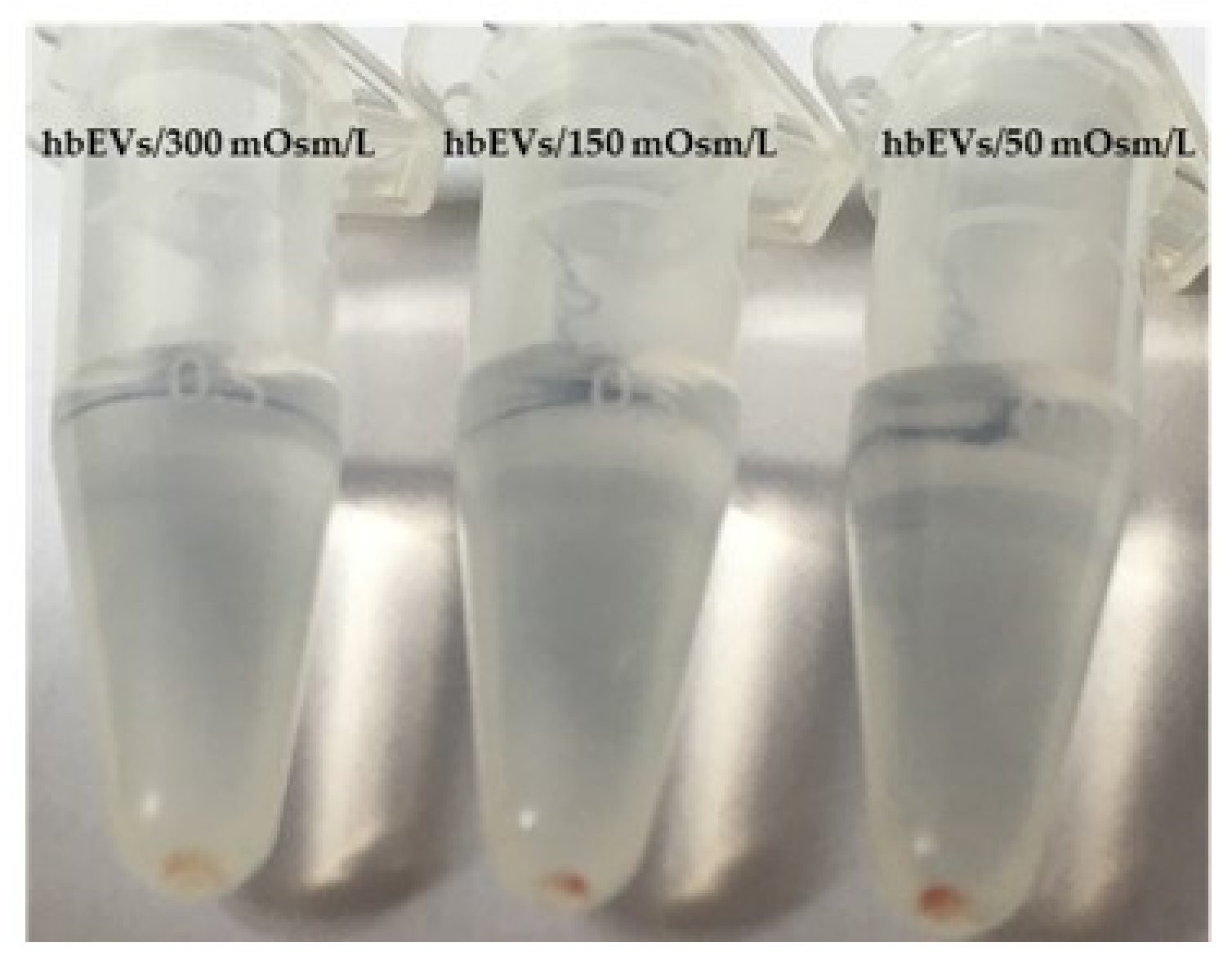 Ijms 22 12772 g0a7 Ijms 22 12772 g0a7