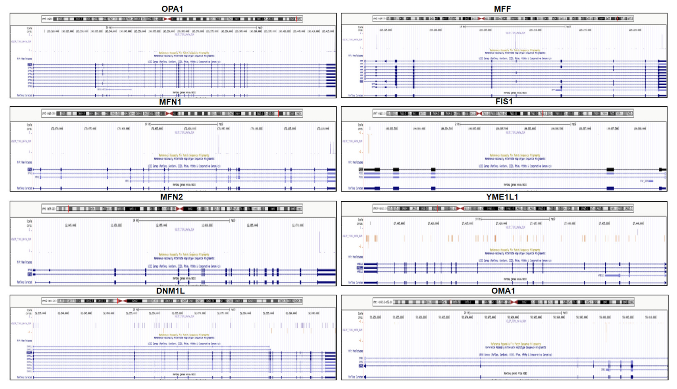 Ijms 22 12775 g004 Ijms 22 12775 g004