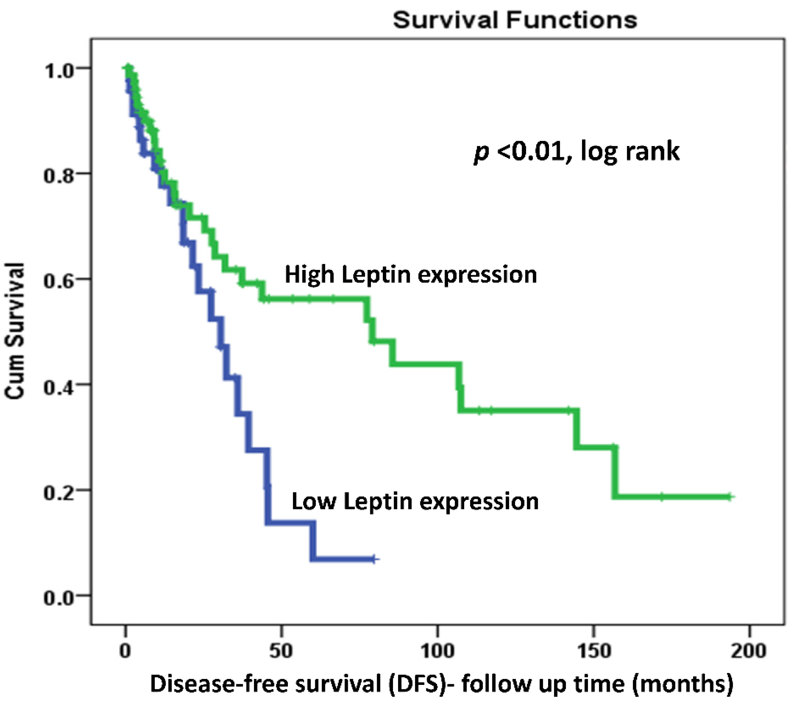 Ijms 22 12872 g002 Ijms 22 12872 g002