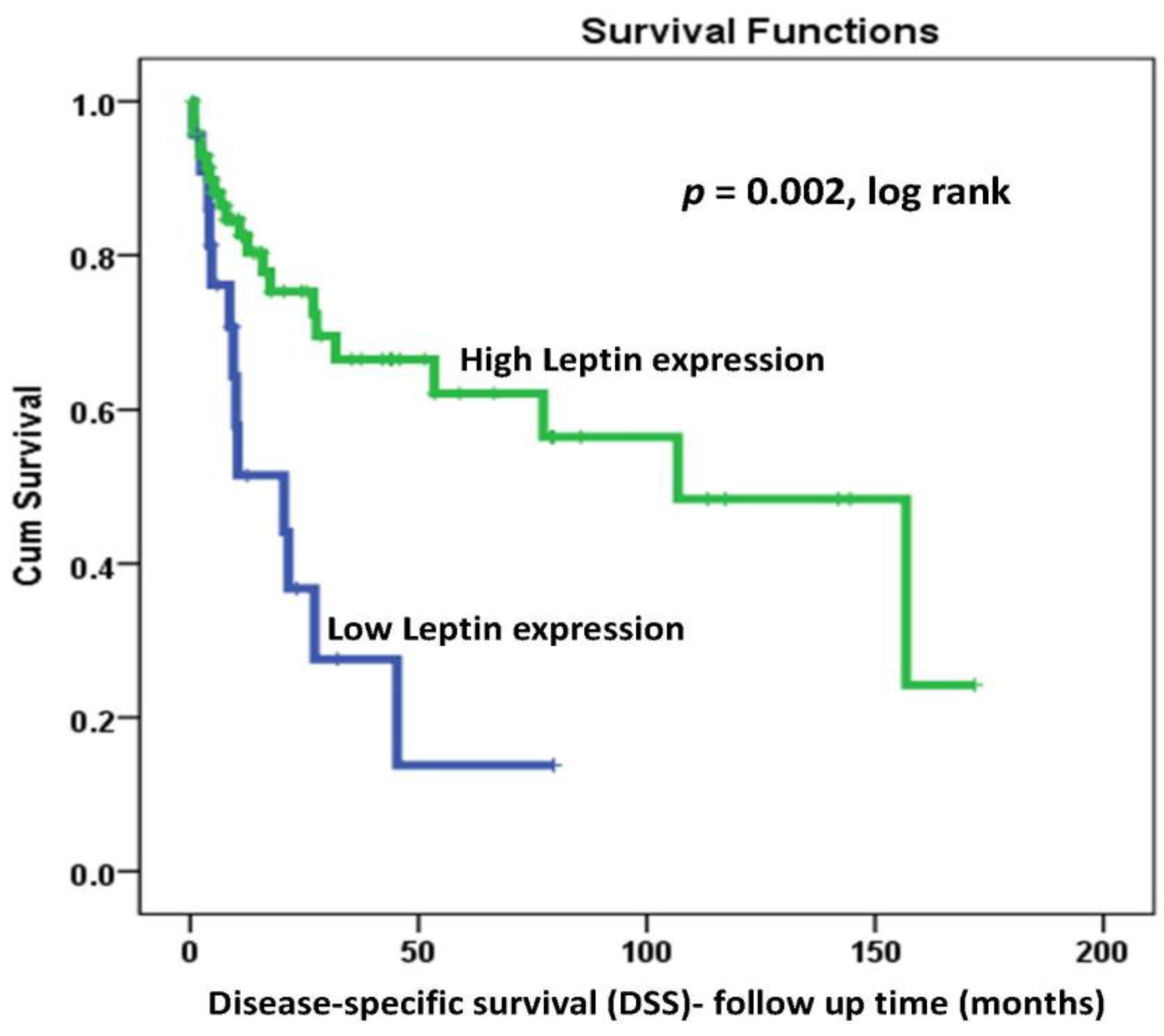 Ijms 22 12872 g003 Ijms 22 12872 g003