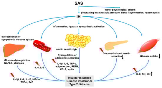 Ijms 22 12898 g004 550
