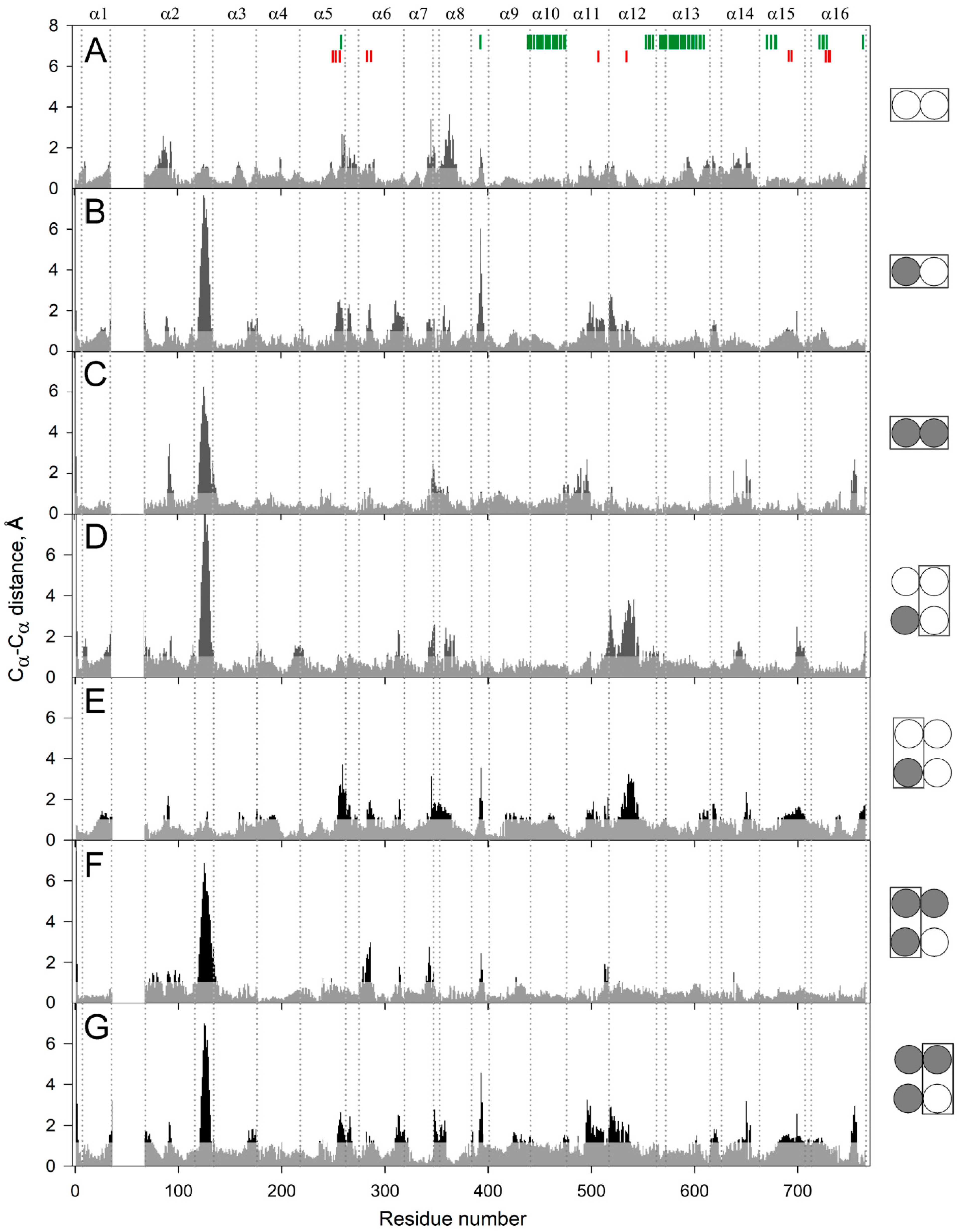 Ijms 22 12902 g002 Ijms 22 12902 g002