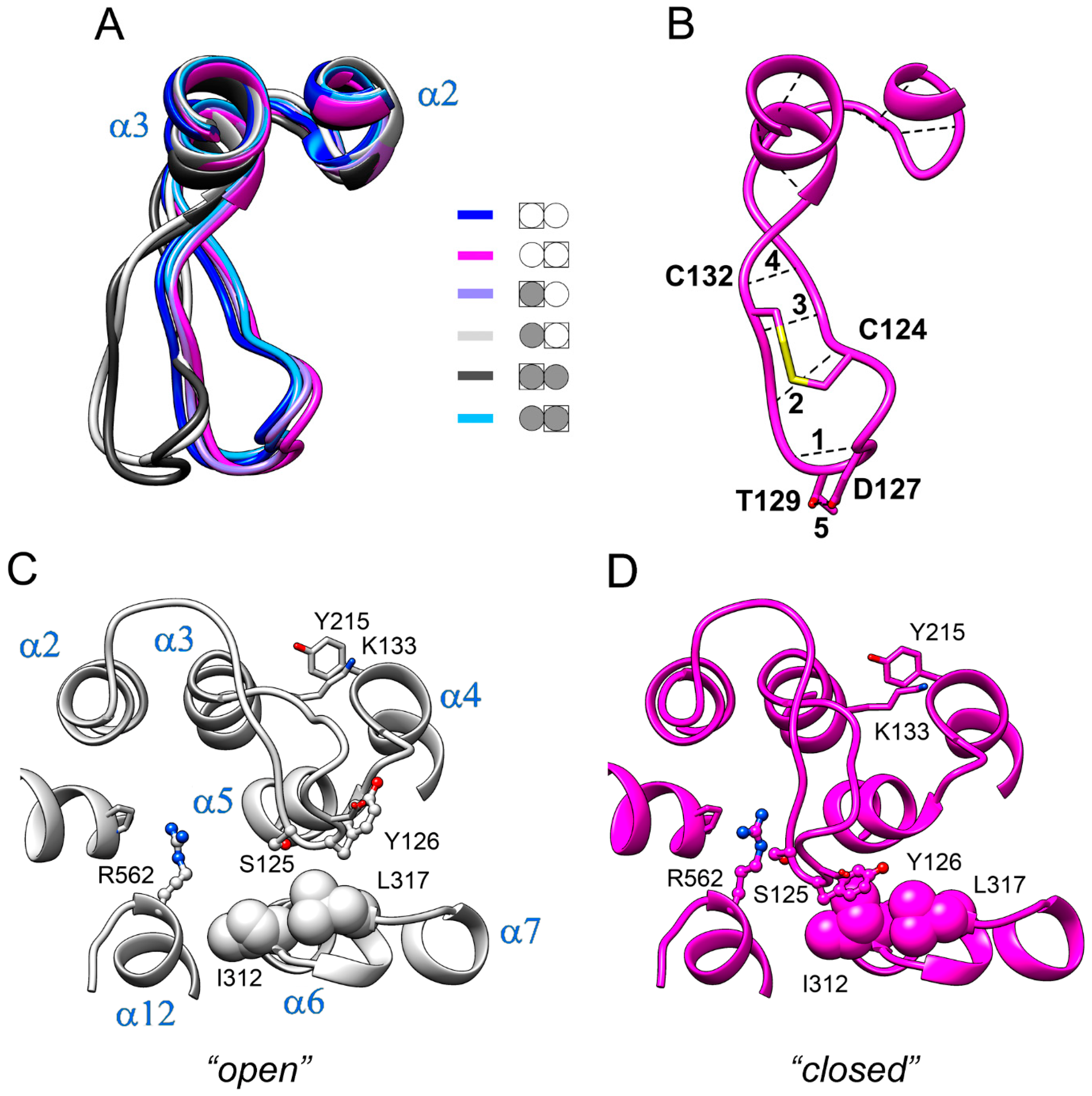 Ijms 22 12902 g005 Ijms 22 12902 g005
