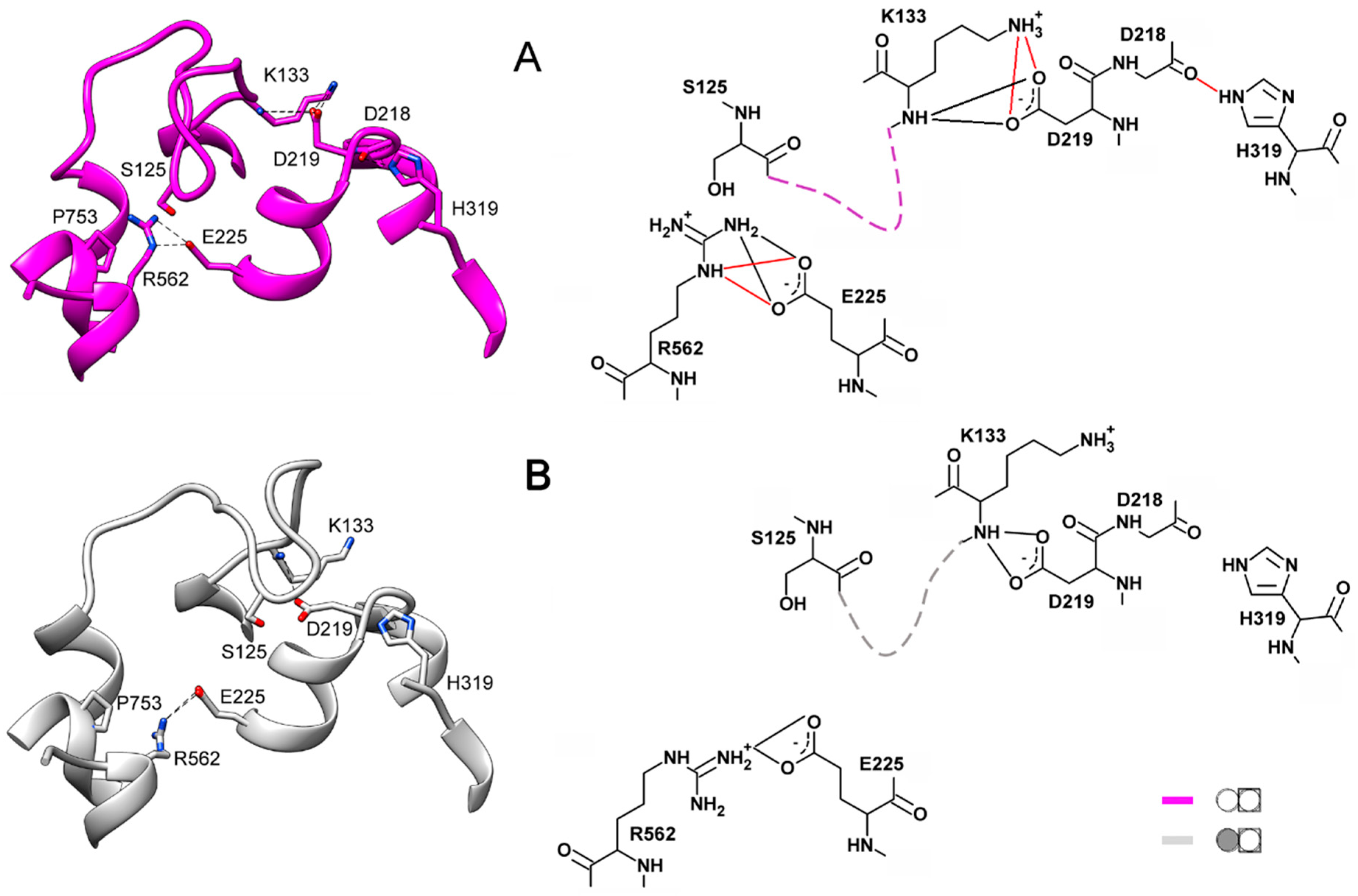 Ijms 22 12902 g006 Ijms 22 12902 g006