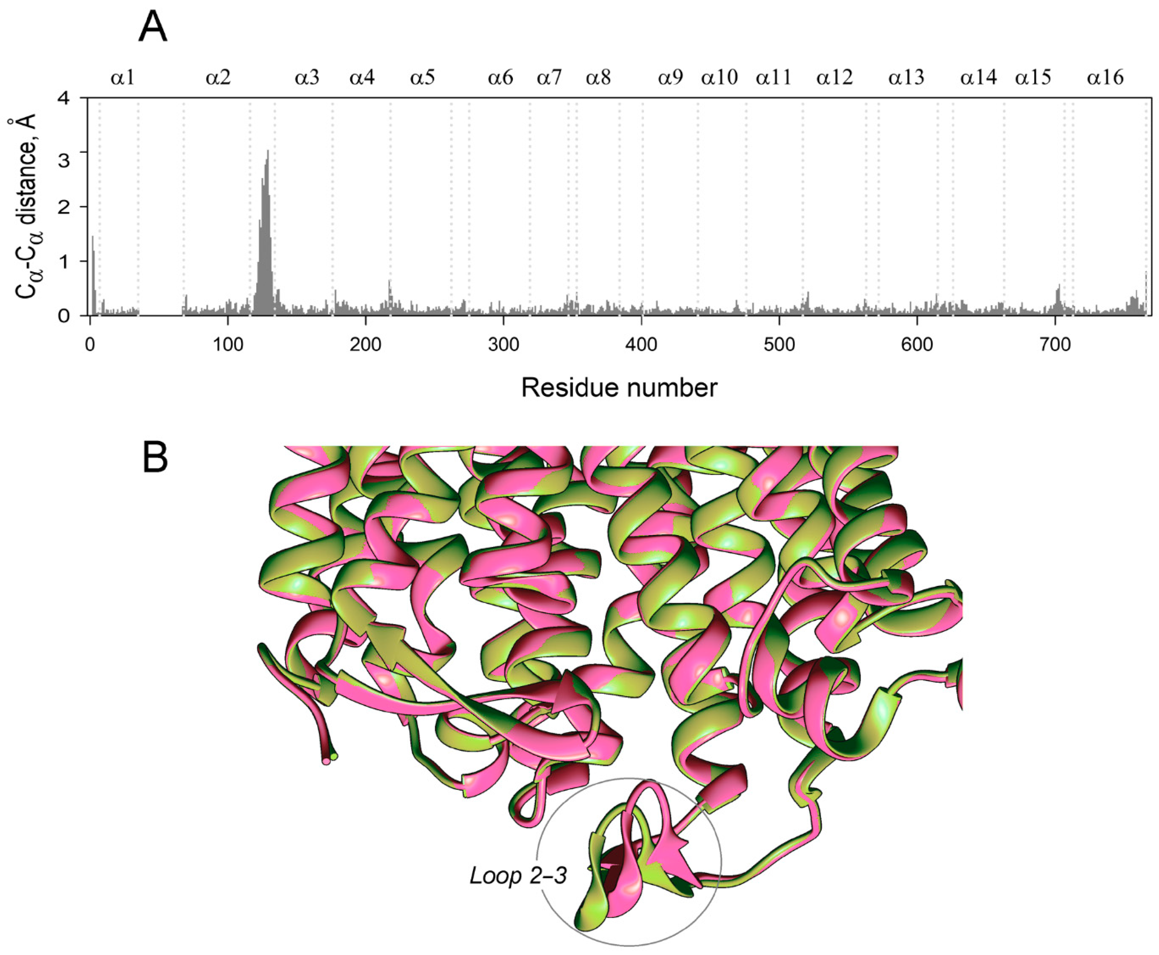 Ijms 22 12902 g010 Ijms 22 12902 g010