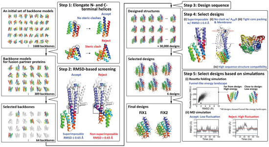 Ijms 22 12906 g002 550