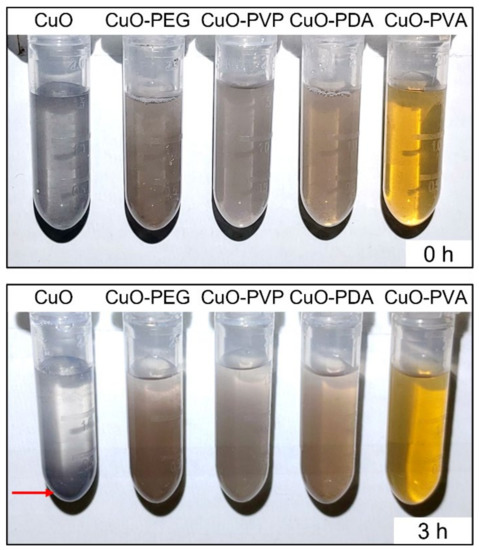 Ijms 22 12913 g0a2 550