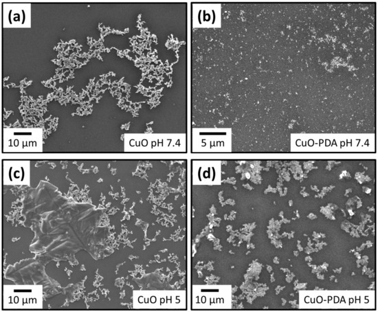 Ijms 22 12913 g0a3 550