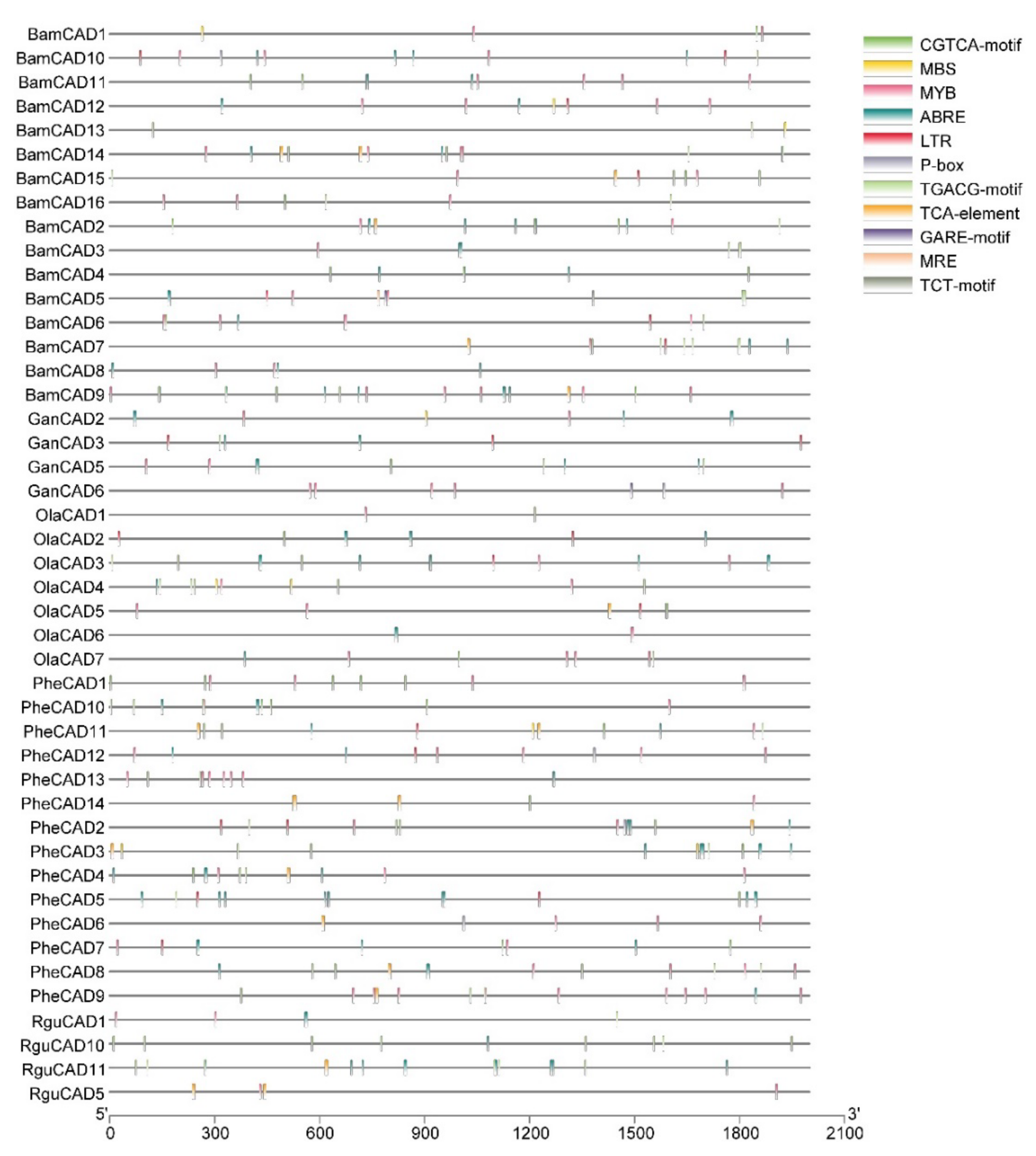 Ijms 22 12917 g002 Ijms 22 12917 g002