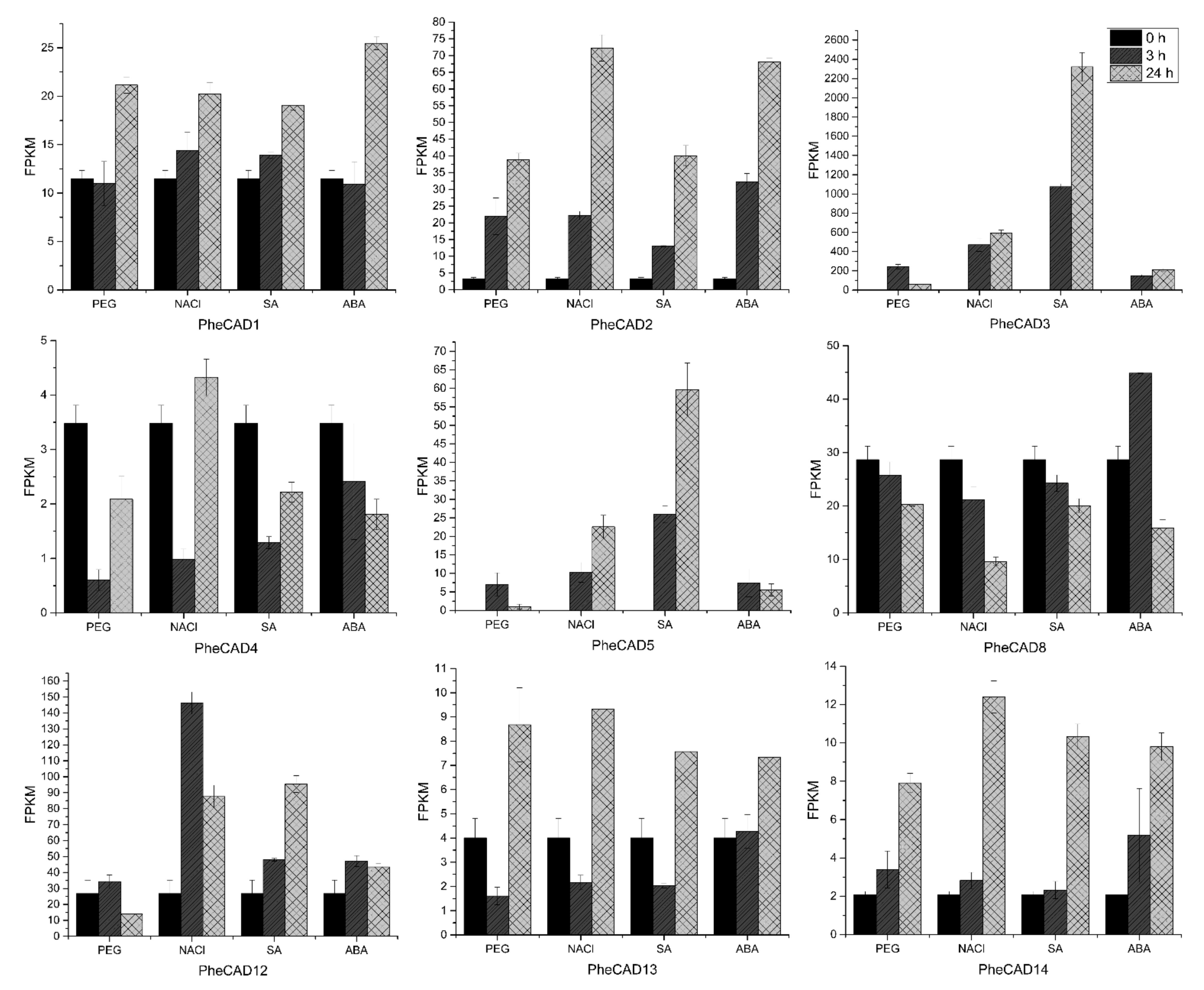 Ijms 22 12917 g005 Ijms 22 12917 g005